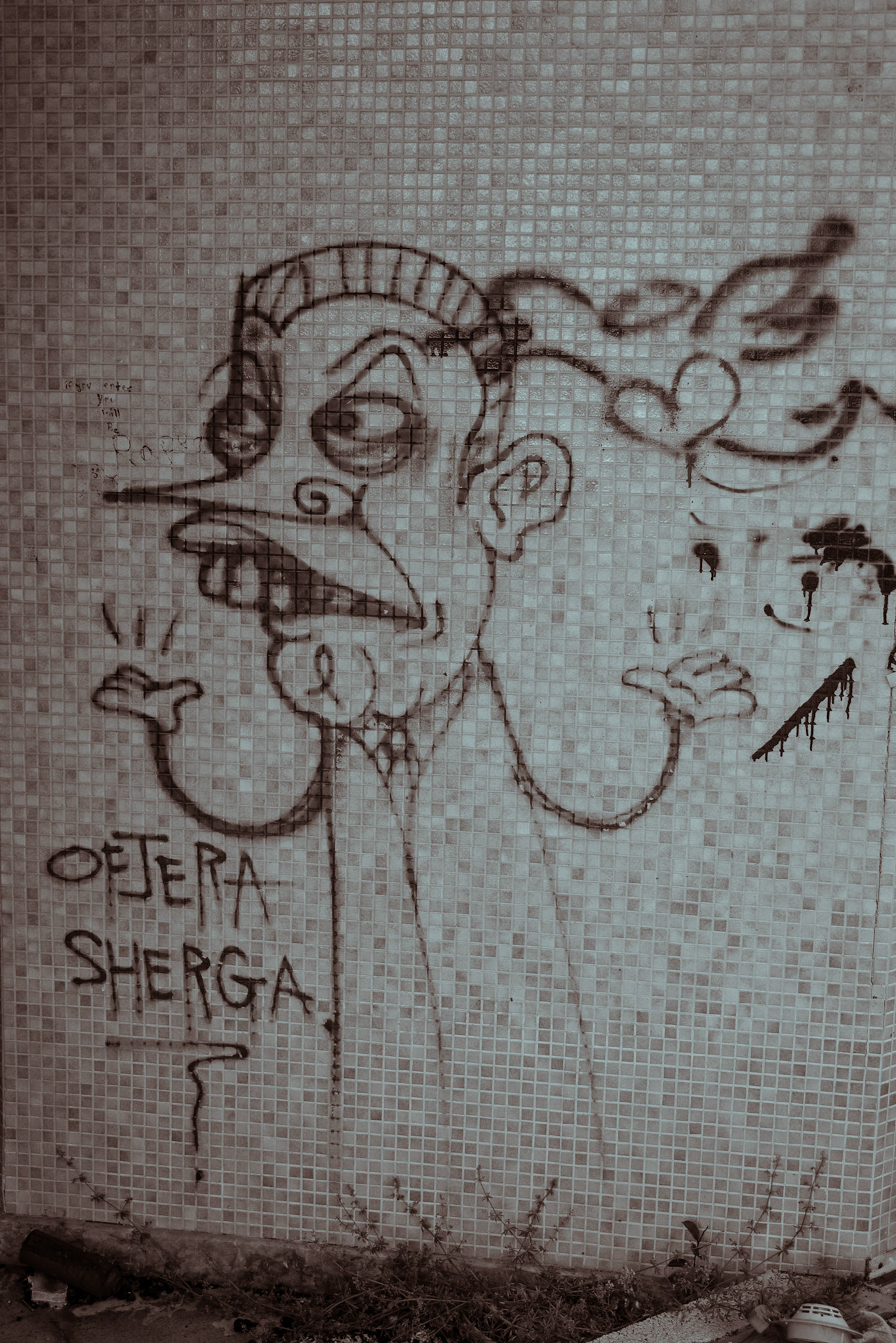 Street art in an abandoned hotel in Nicosia, Cyprus