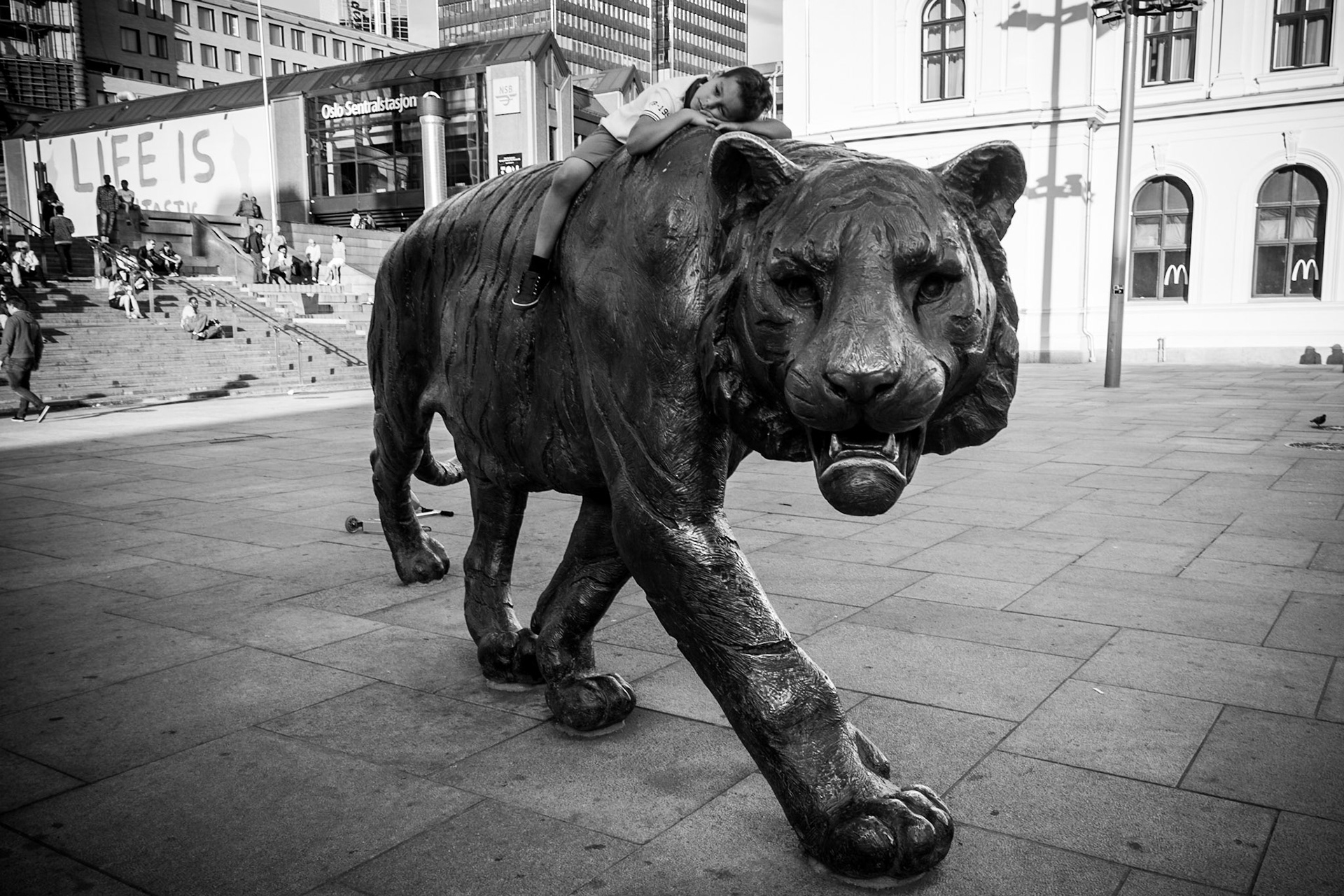 This boy wouldn't leave from the tiger but in the end I got a nice photo