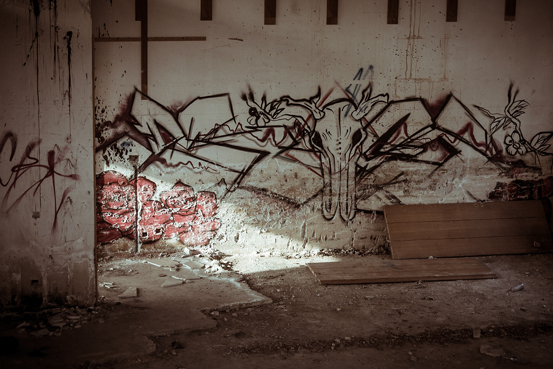 Street art in an abandoned hotel in Nicosia, Cyprus