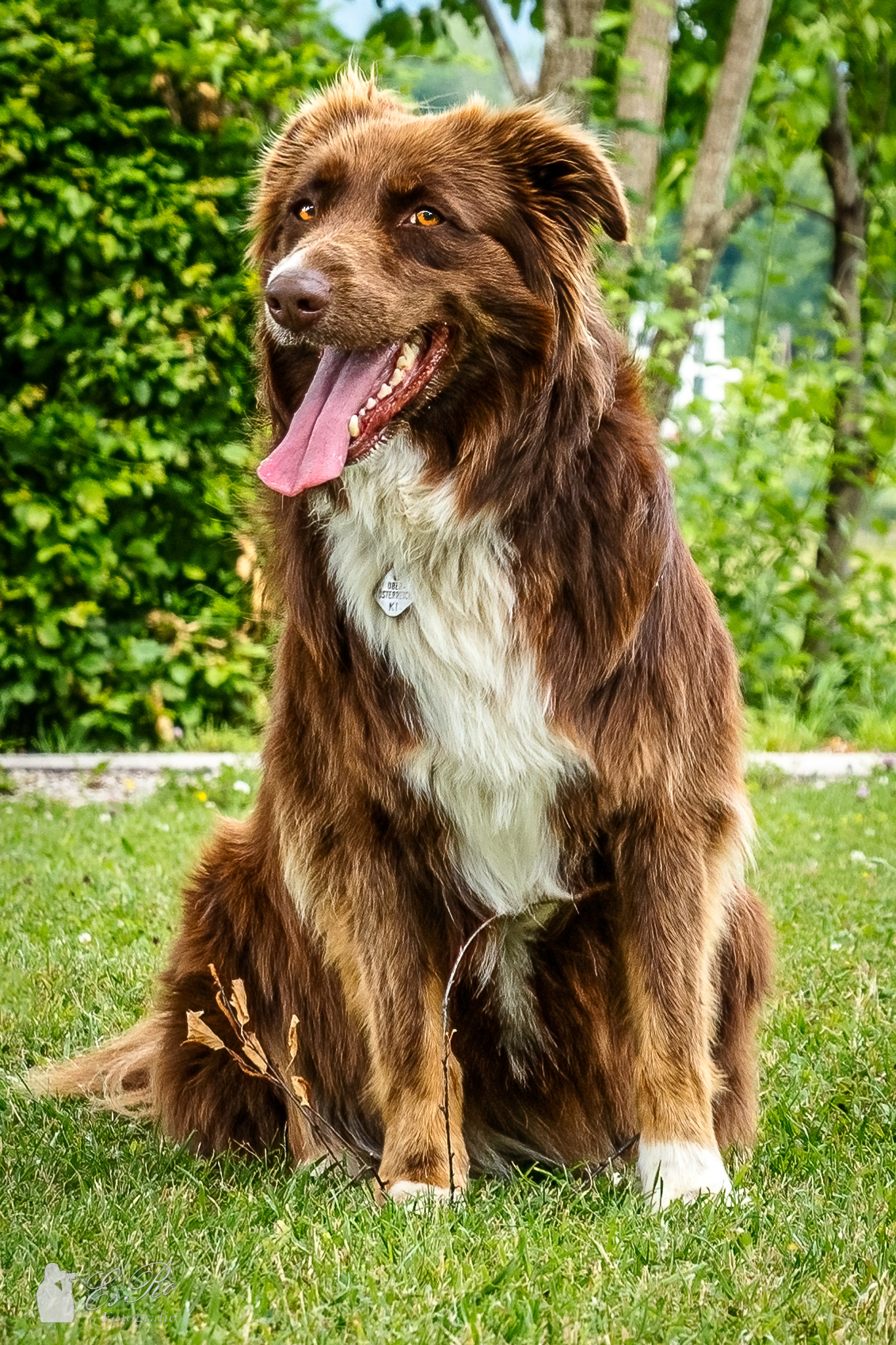 Bella