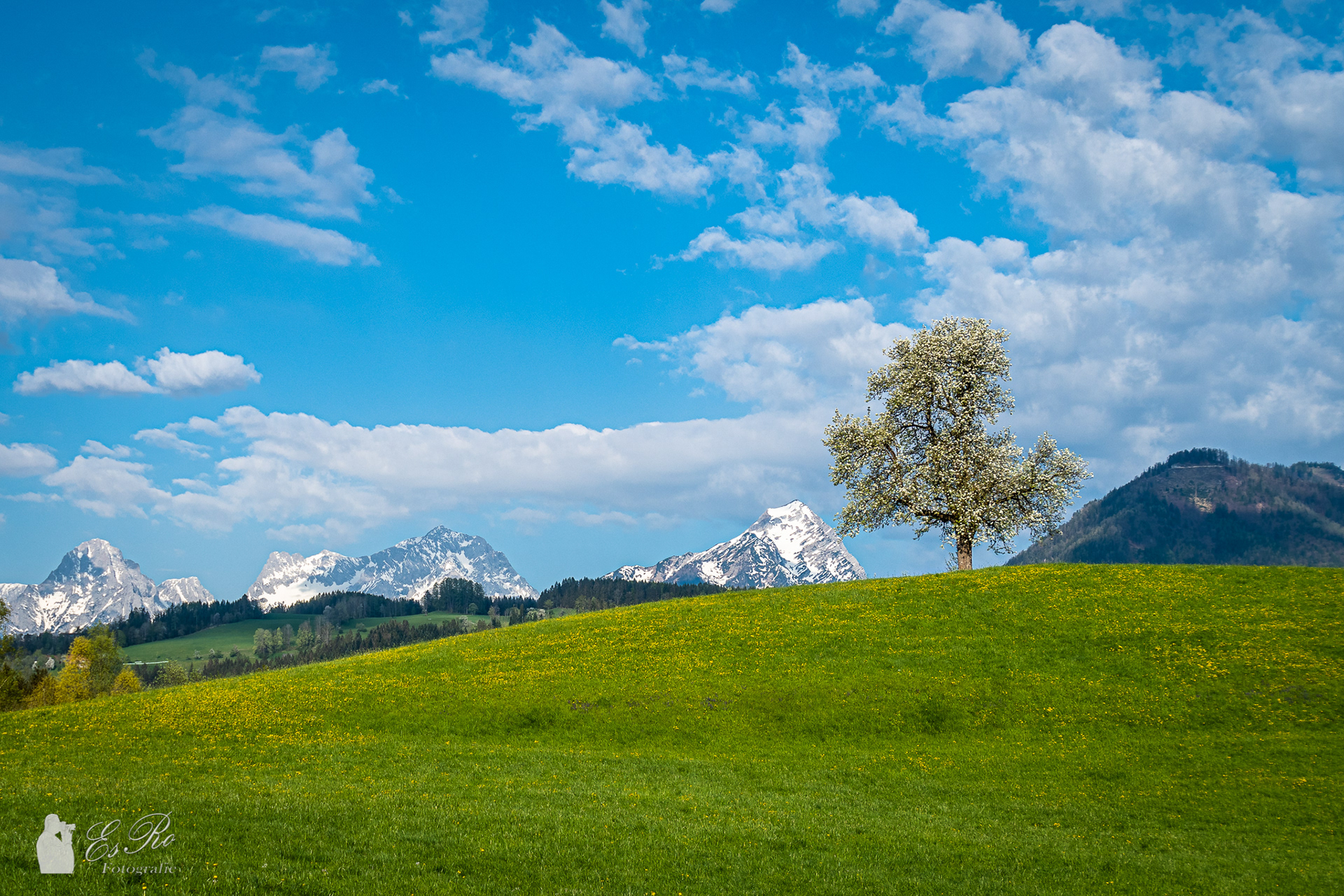 Zölskogel und Totes Gebirge