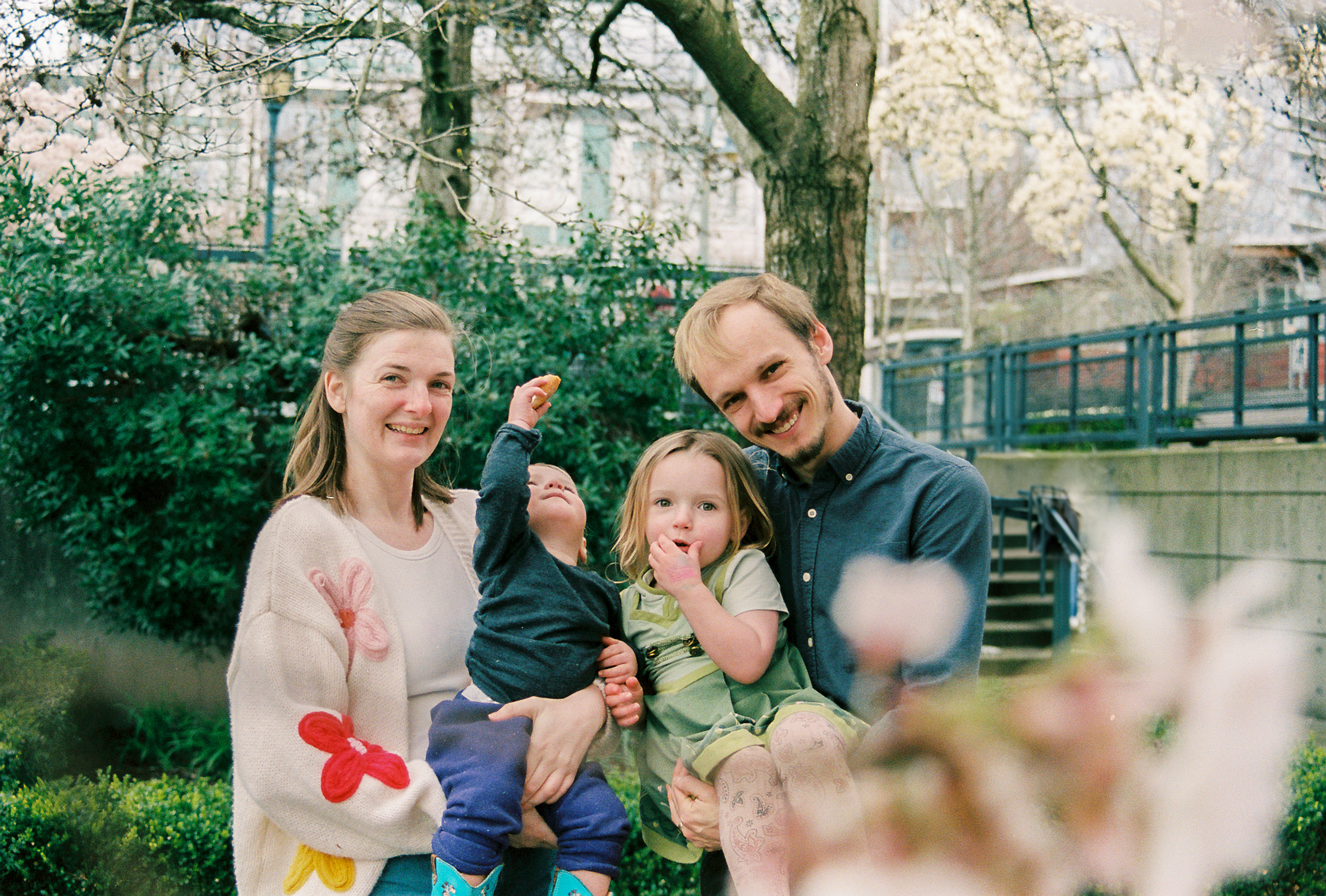 vancouver family film photography in the cherry blossoms