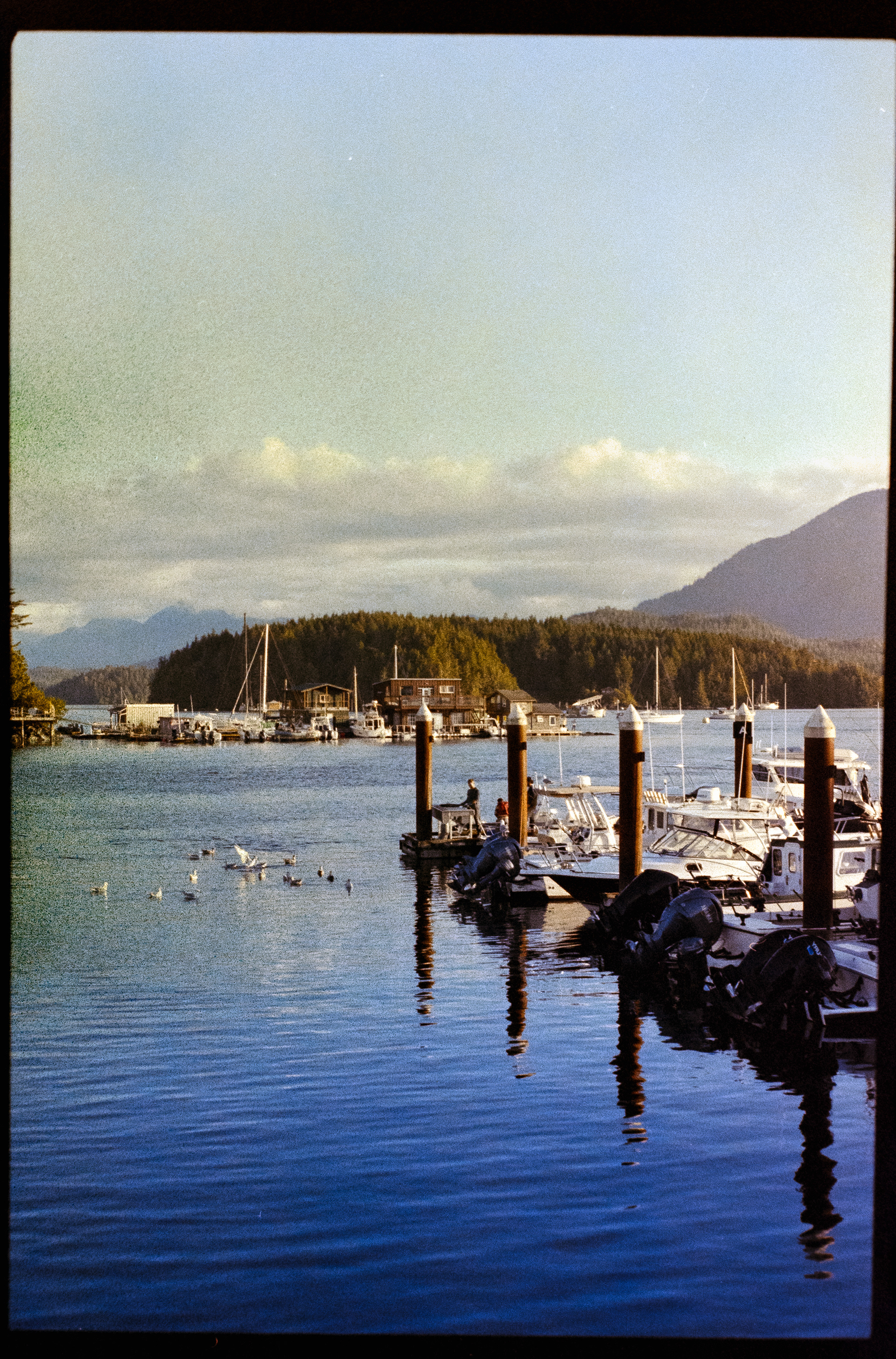 Tofino's pier - travel photography on 35mm film