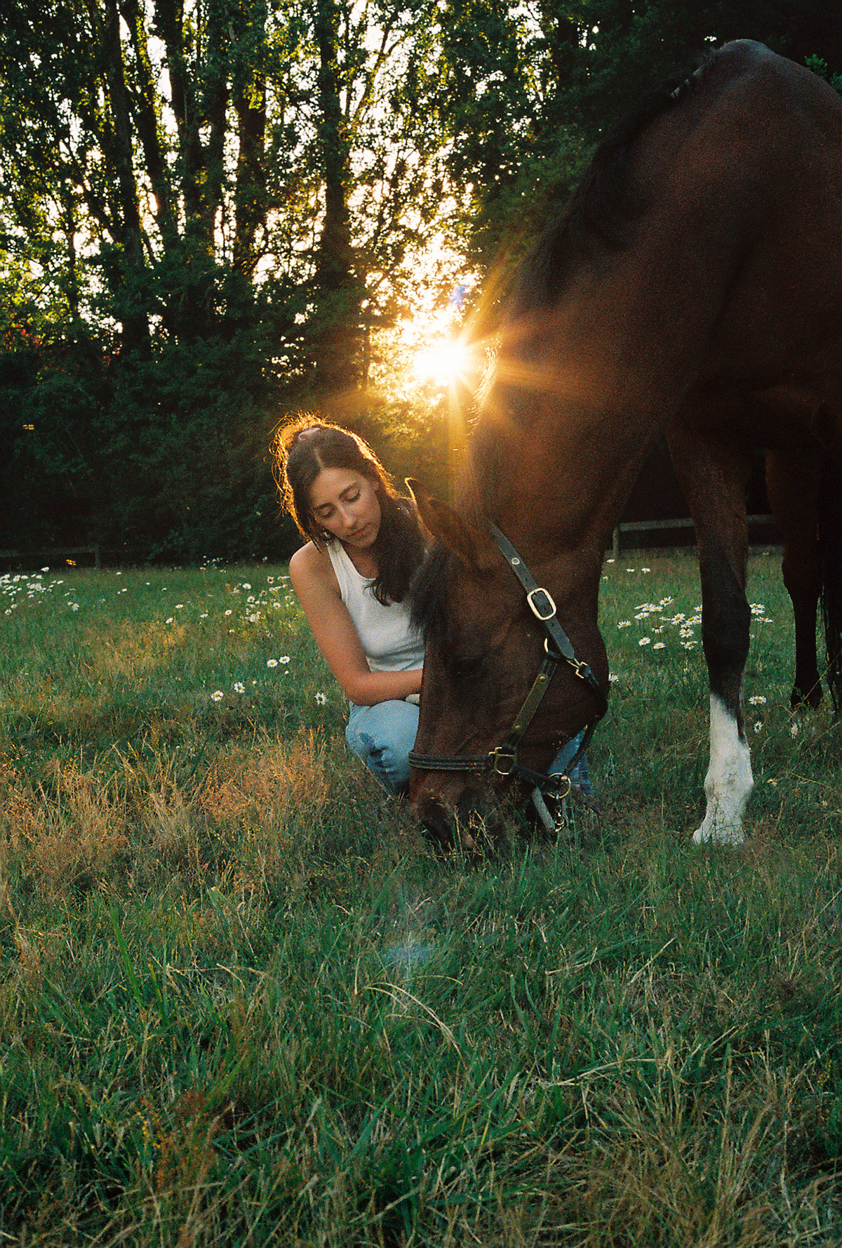 Vancouver portrait film photography session in Southlands with A's horse