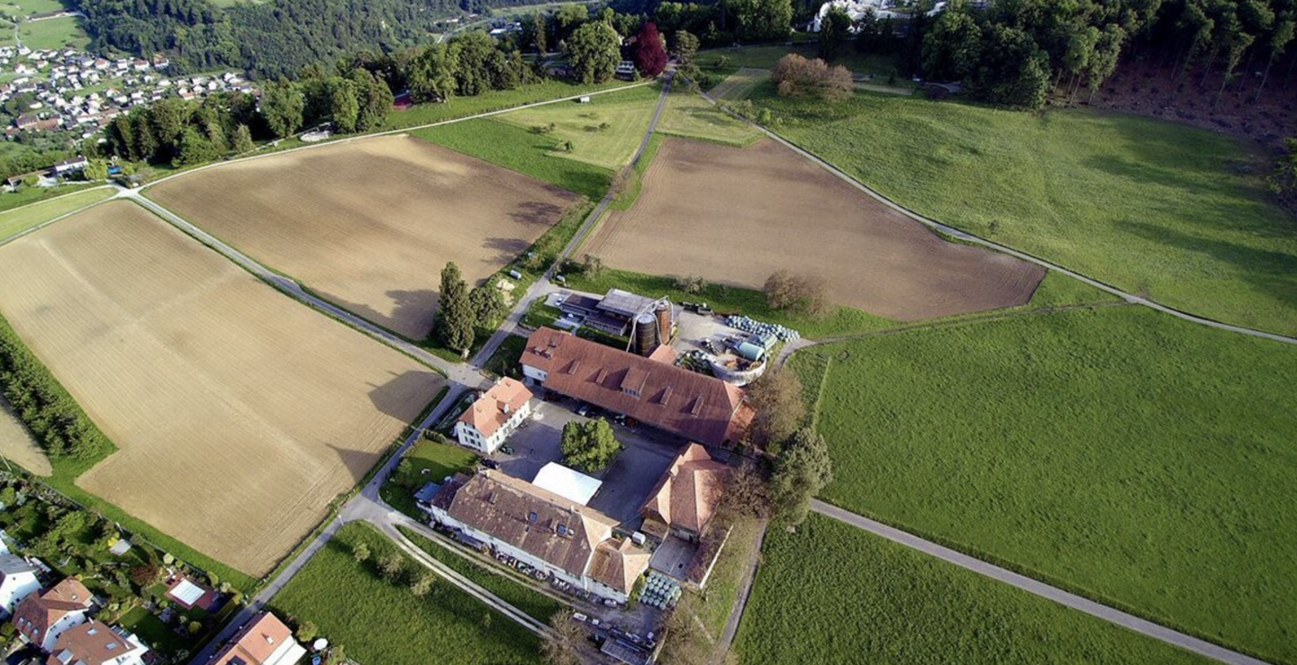 Schlosshof in Pfeffingen (Dronenaufnahme)