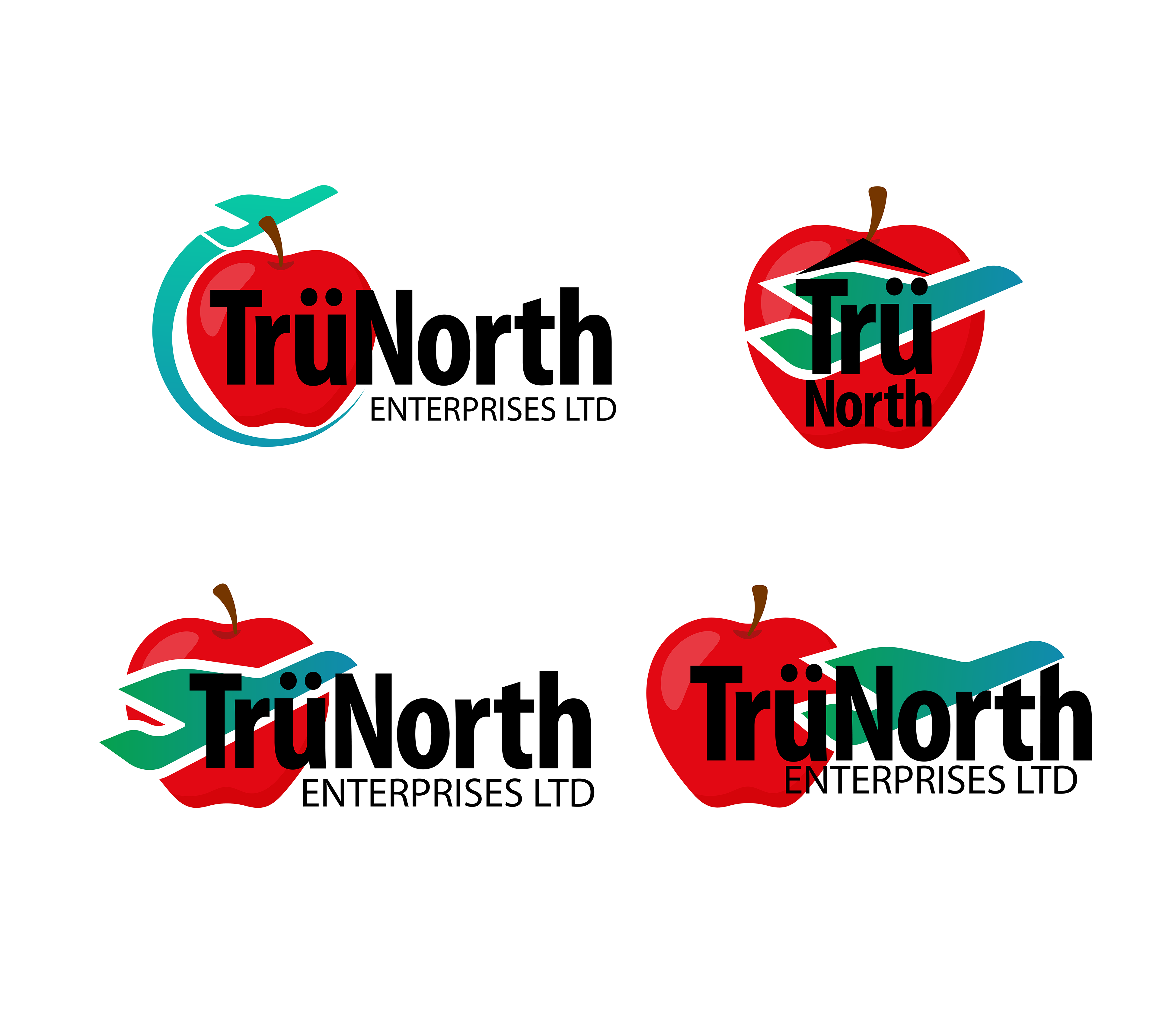 TruNorth was an devision dedicated to flying fresh produce into the northern regions of Saskatchewan. These were some concepts for that programs
