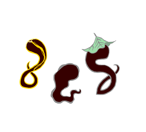 Approved first round with color