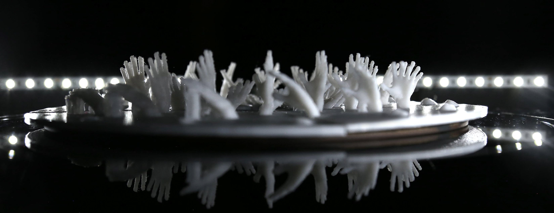 3D printed zoetrope