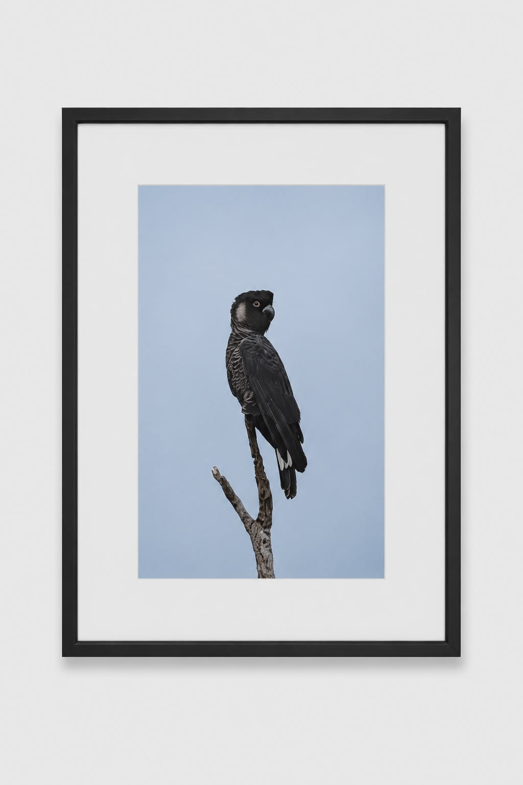 Photo size; 8" x 12" (205mm x 305mm) Frame size; 12" x 16" (305mm x 407mm)