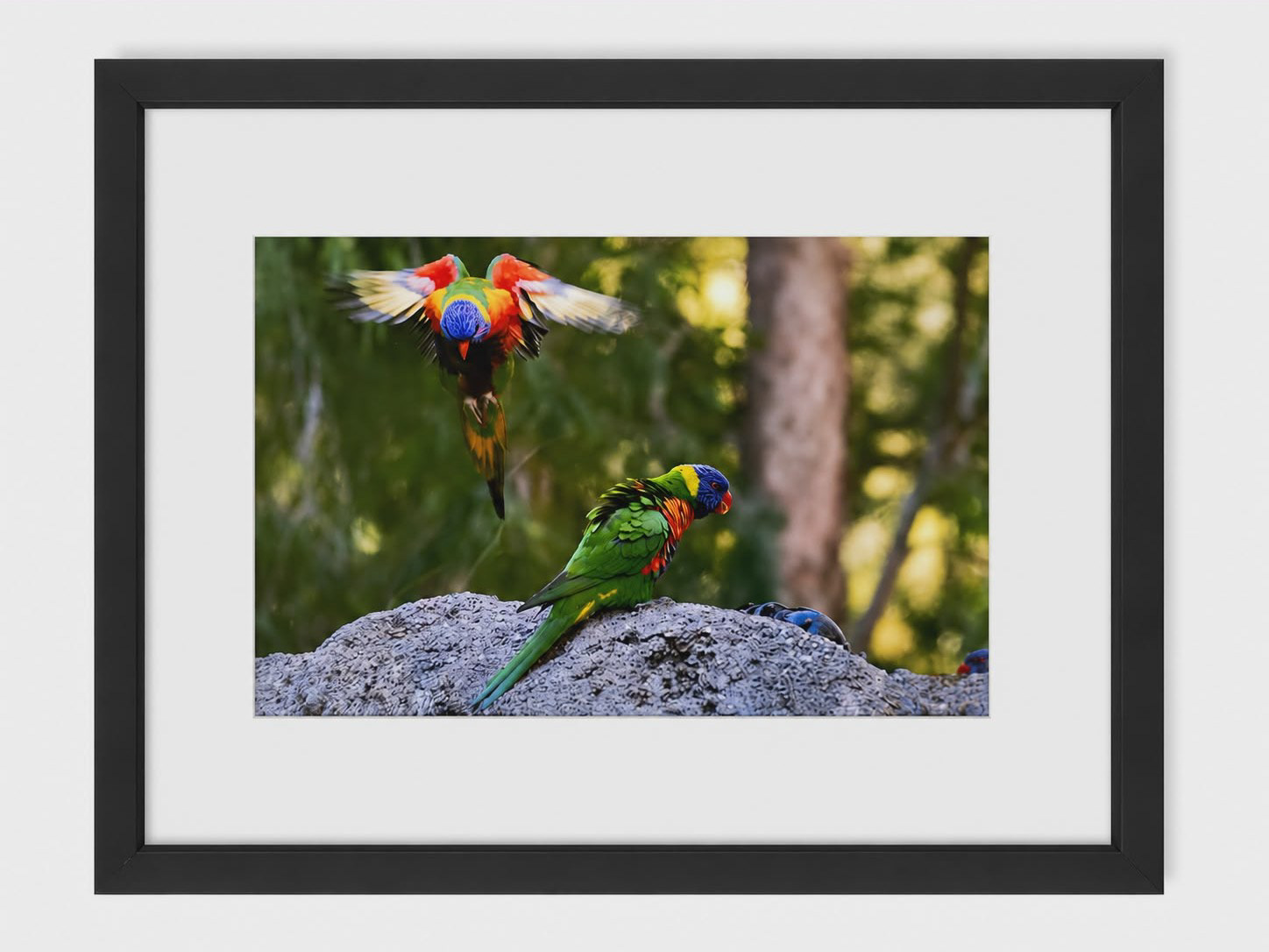 Photo size; 8" x 12" (205mm x 305mm) Frame size; 12" x 16" (305mm x 407mm)