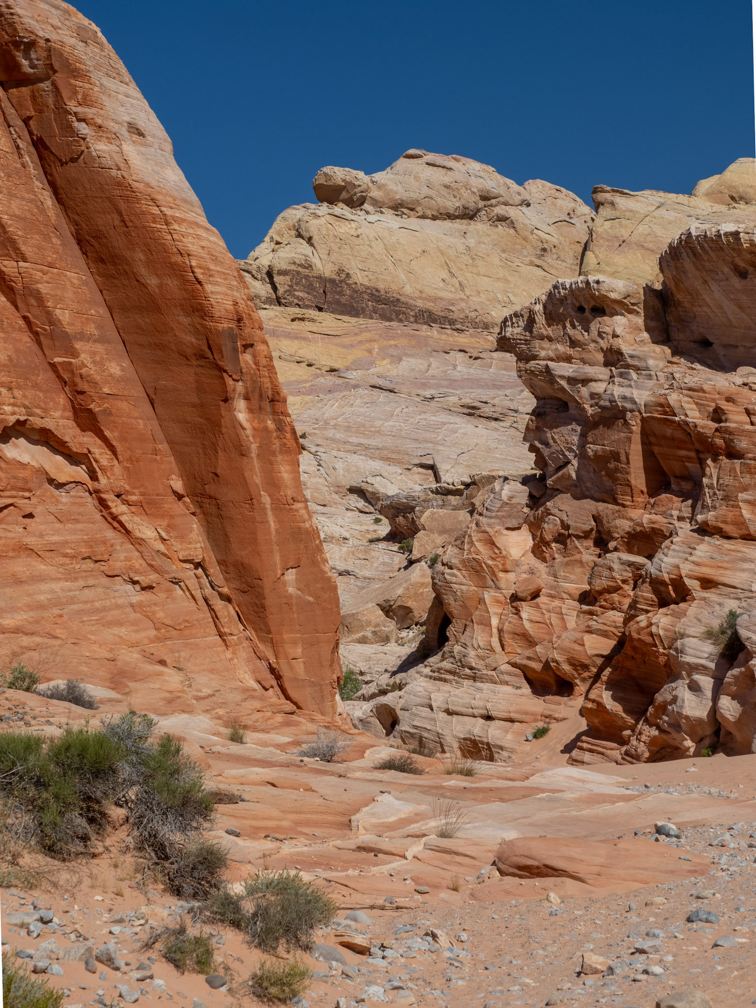 Pastel Canyon