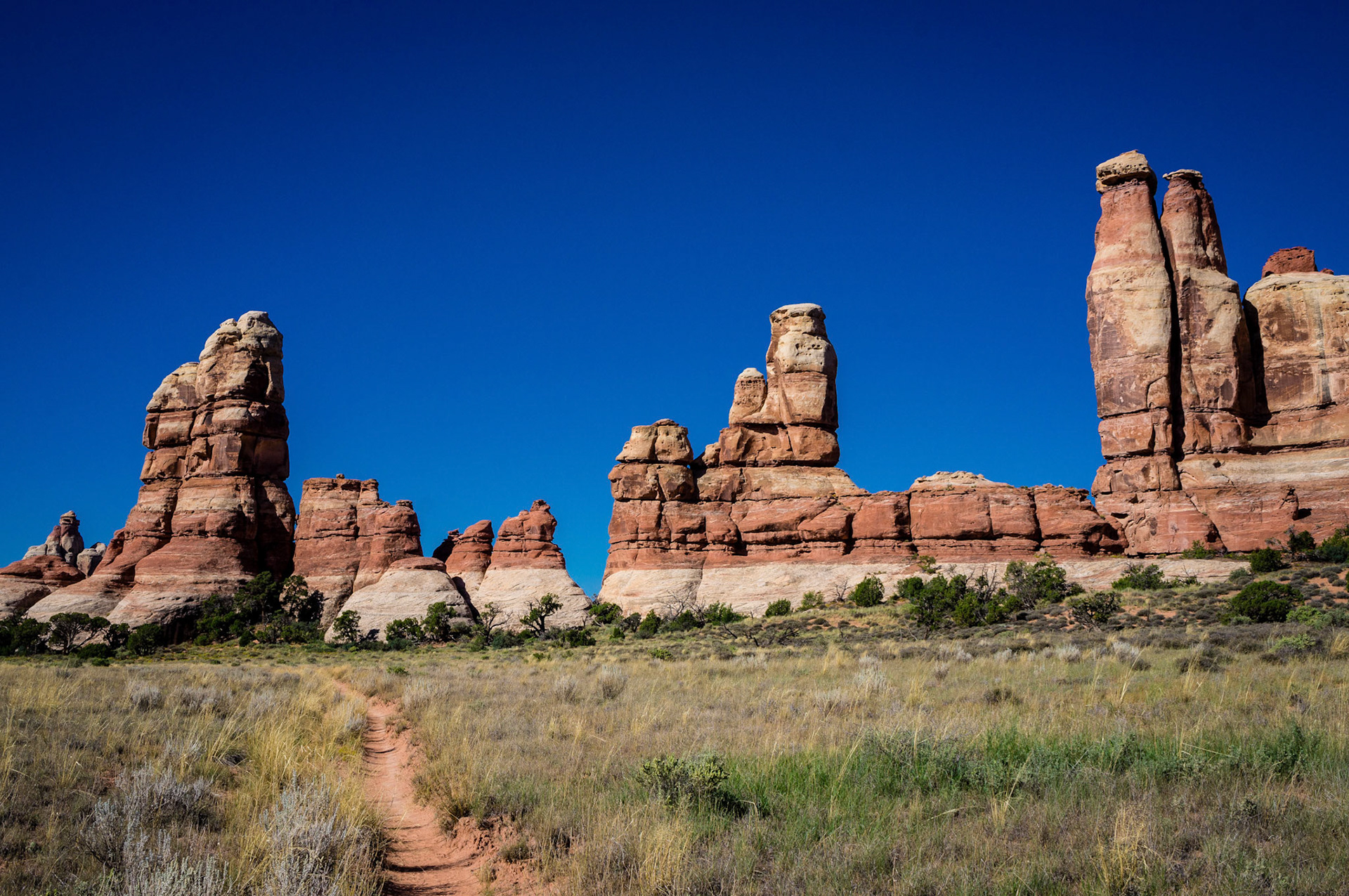 Canyonlands - Needles District