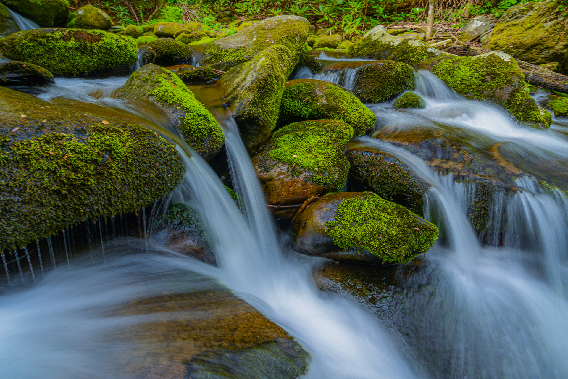 Great Smoky Mountains