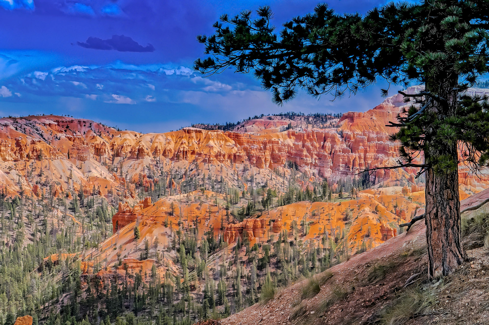 Bryce Canyon