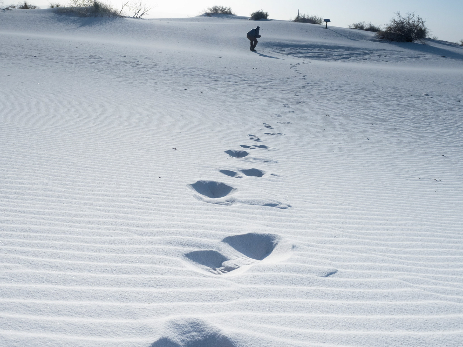 White Sands
