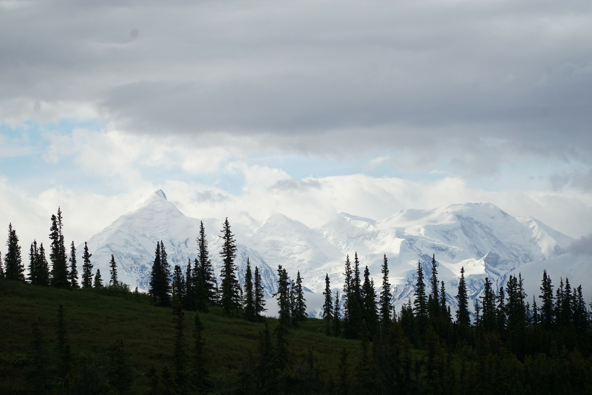 Denali