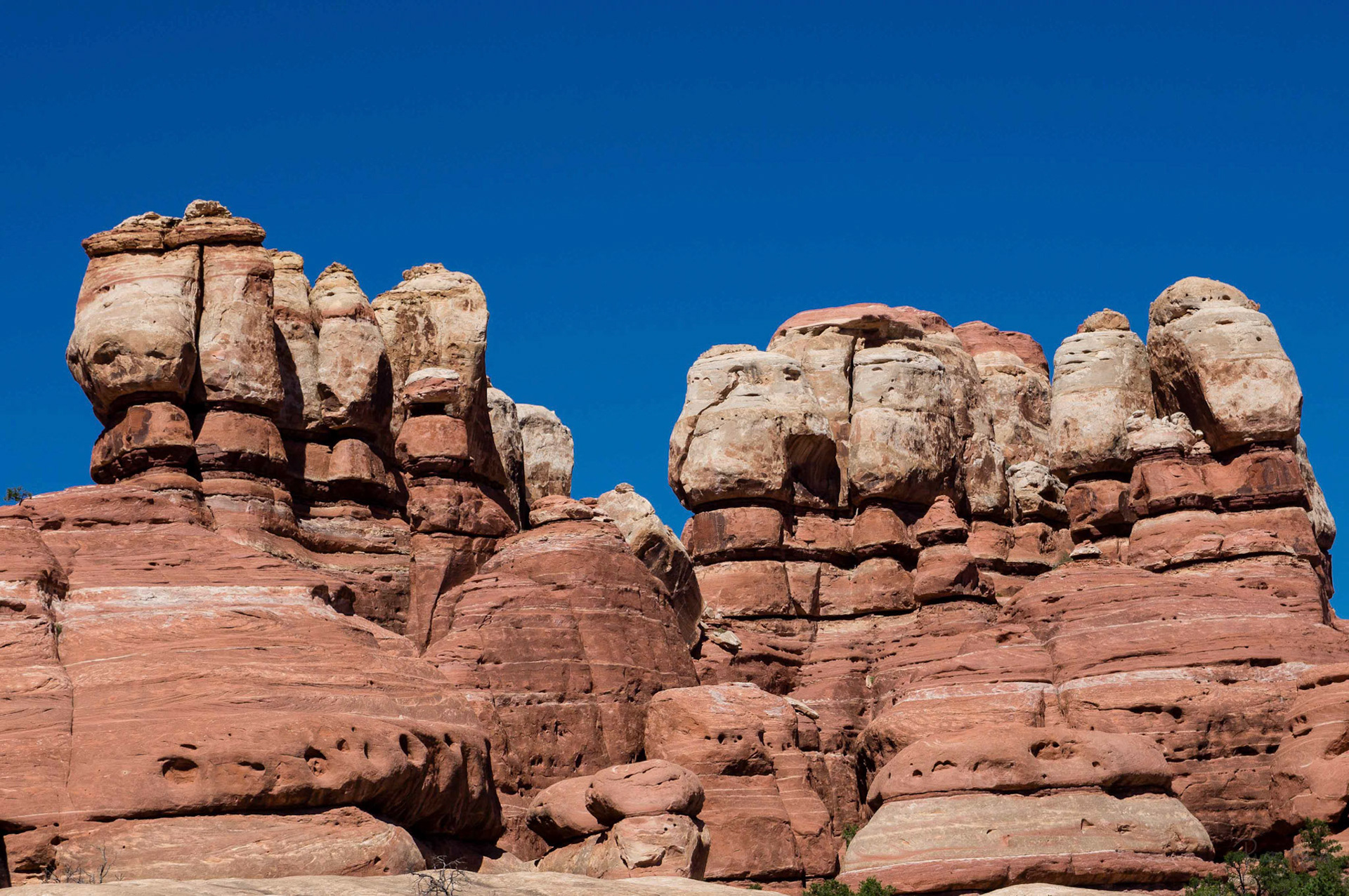 Canyonlands - Needles District