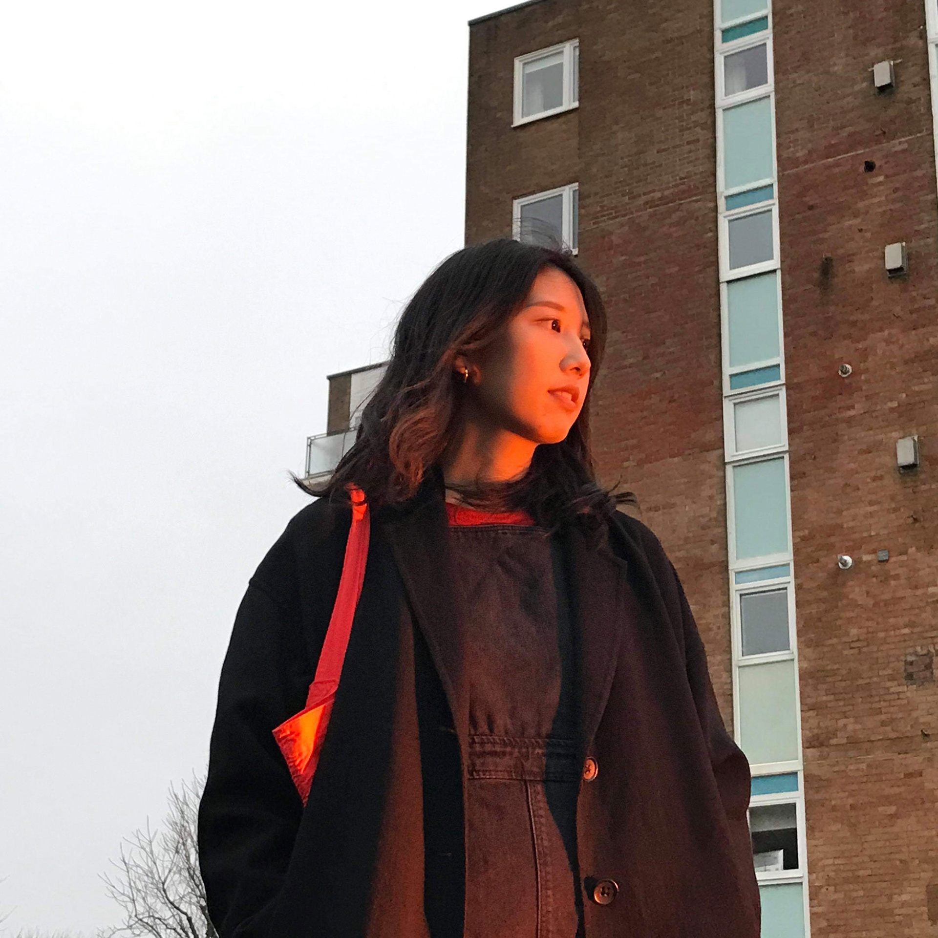 Lili Tae