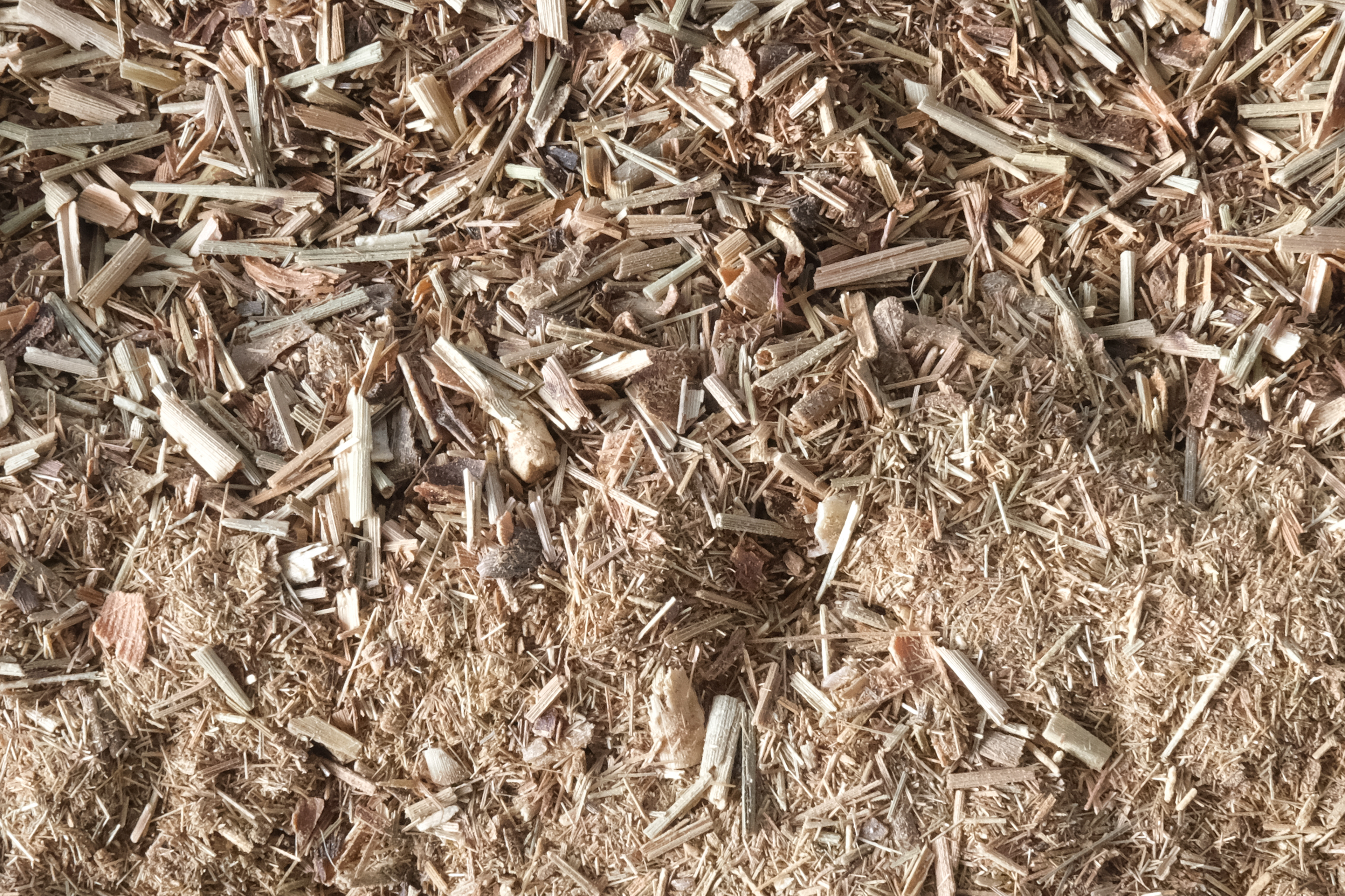Lemongrass