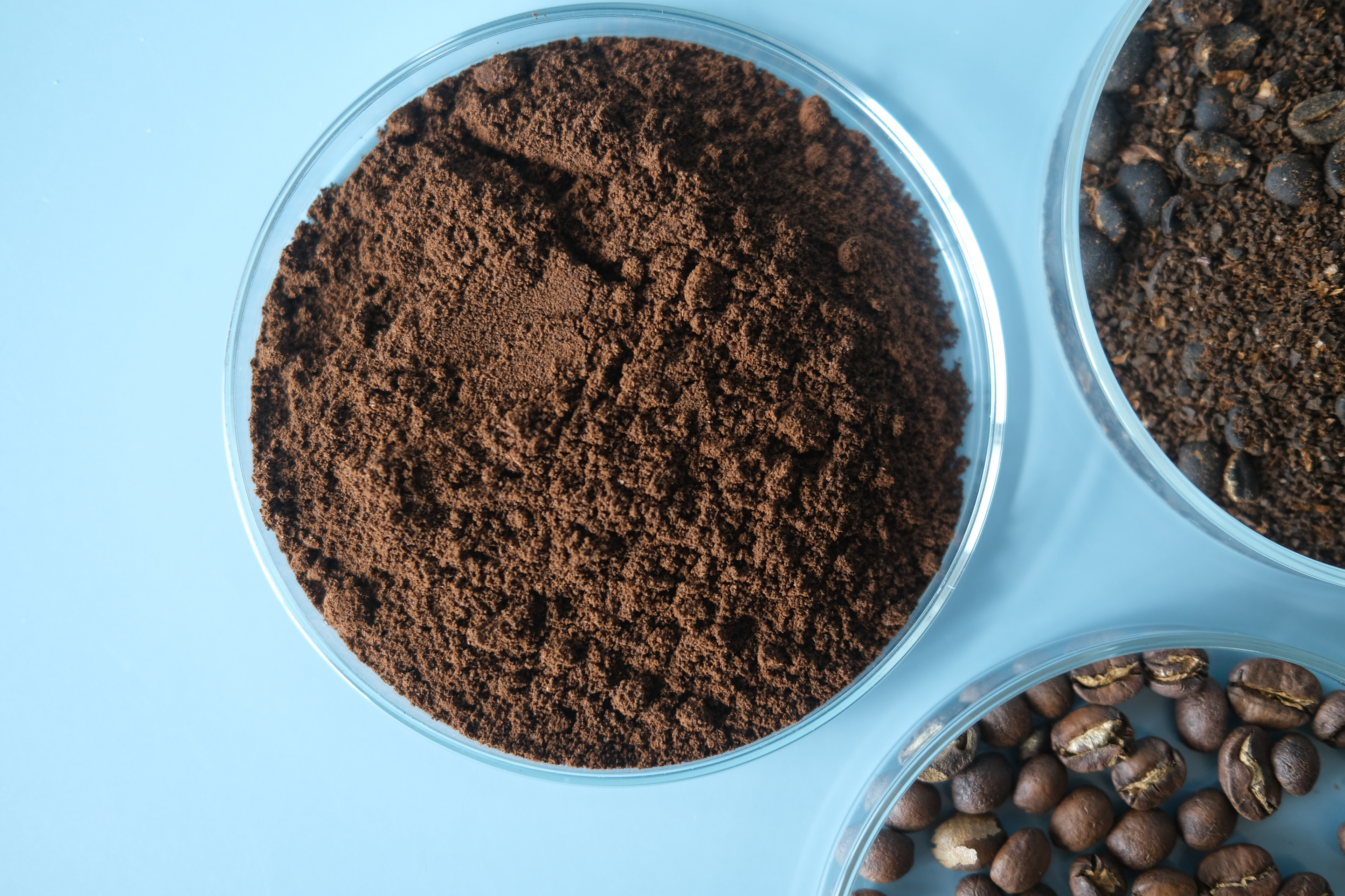 Used coffee grounds