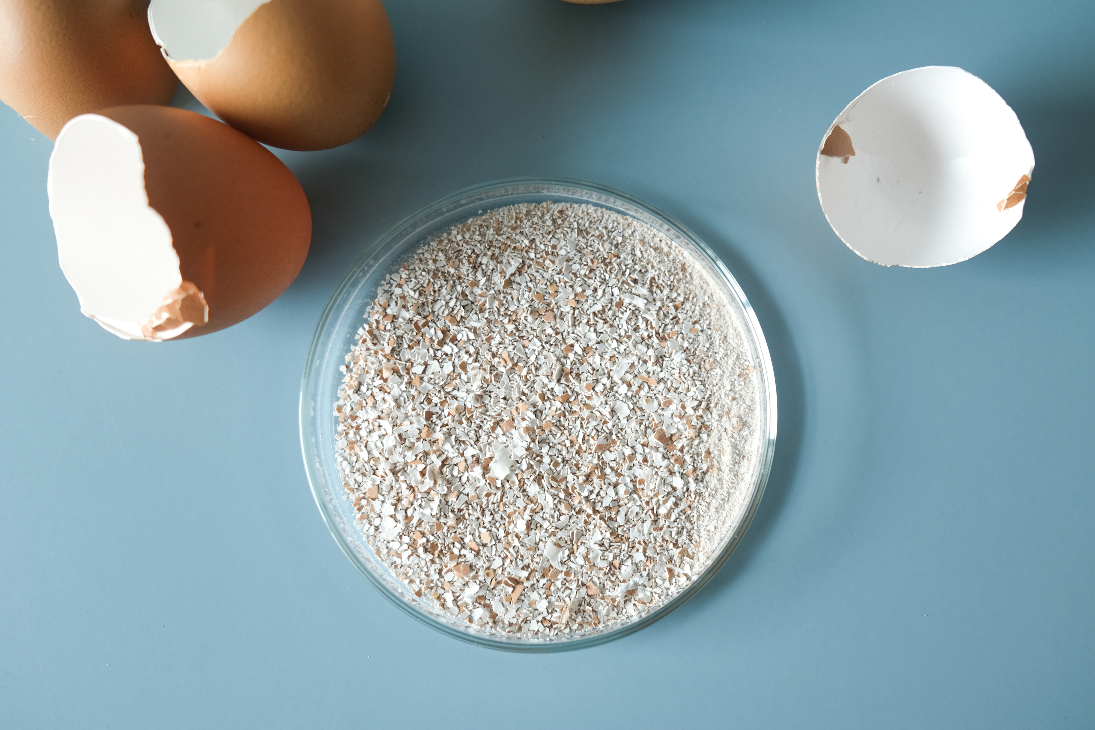 Eggshells