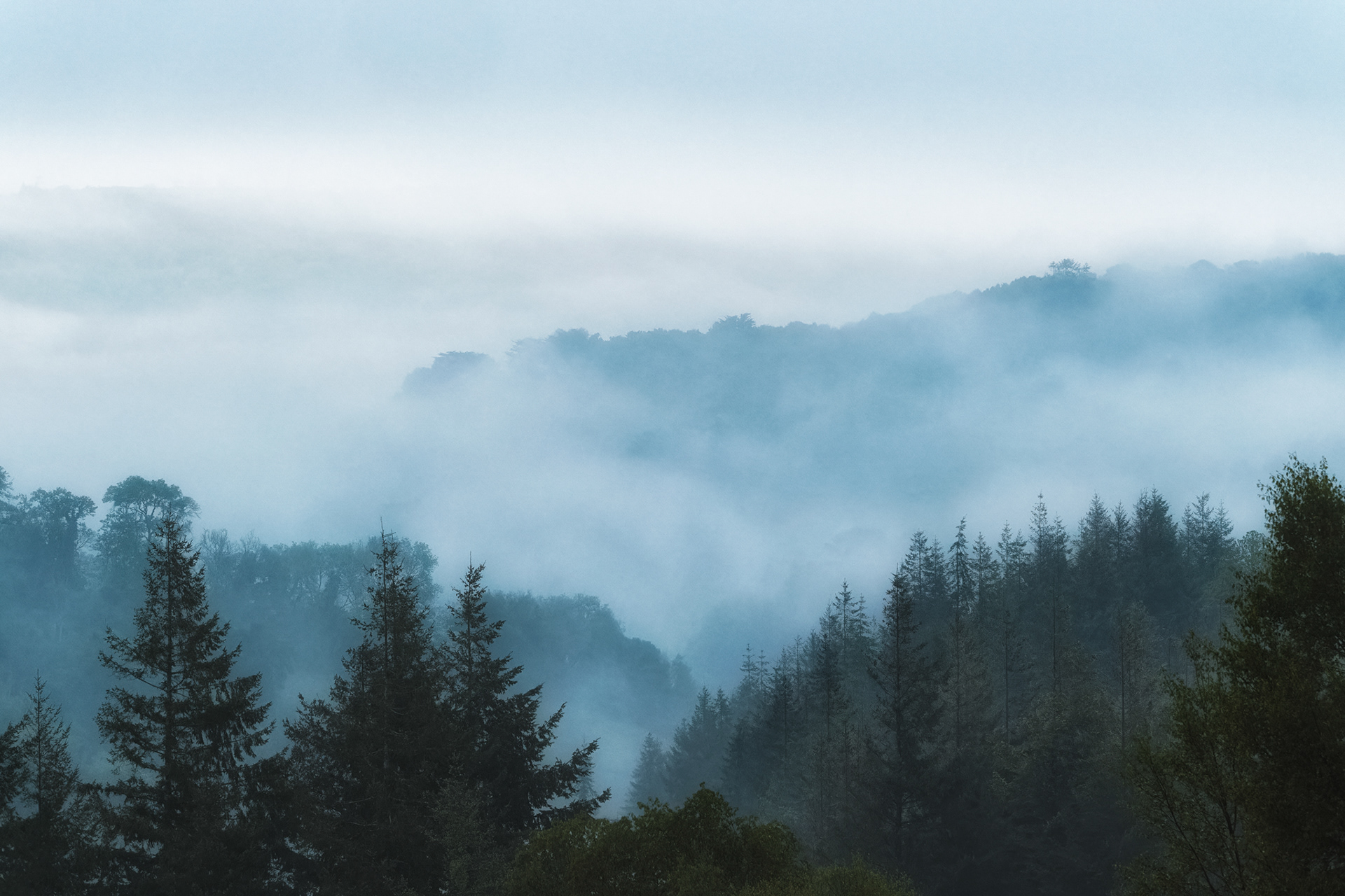 Trendlebere Down, Dartmoor. 12.05.2025