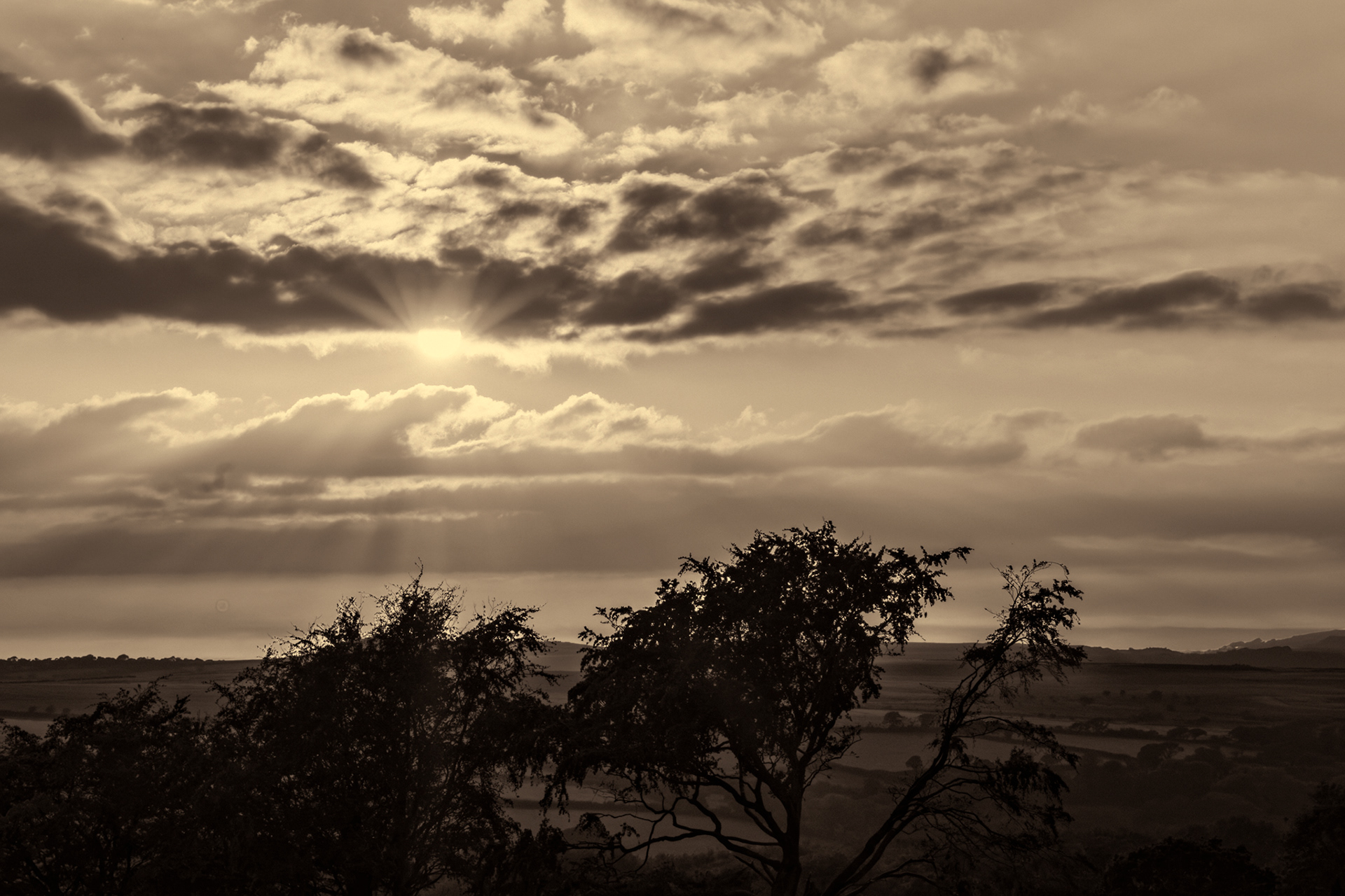 Harford Moor, Ivybridge. 25.08.2019