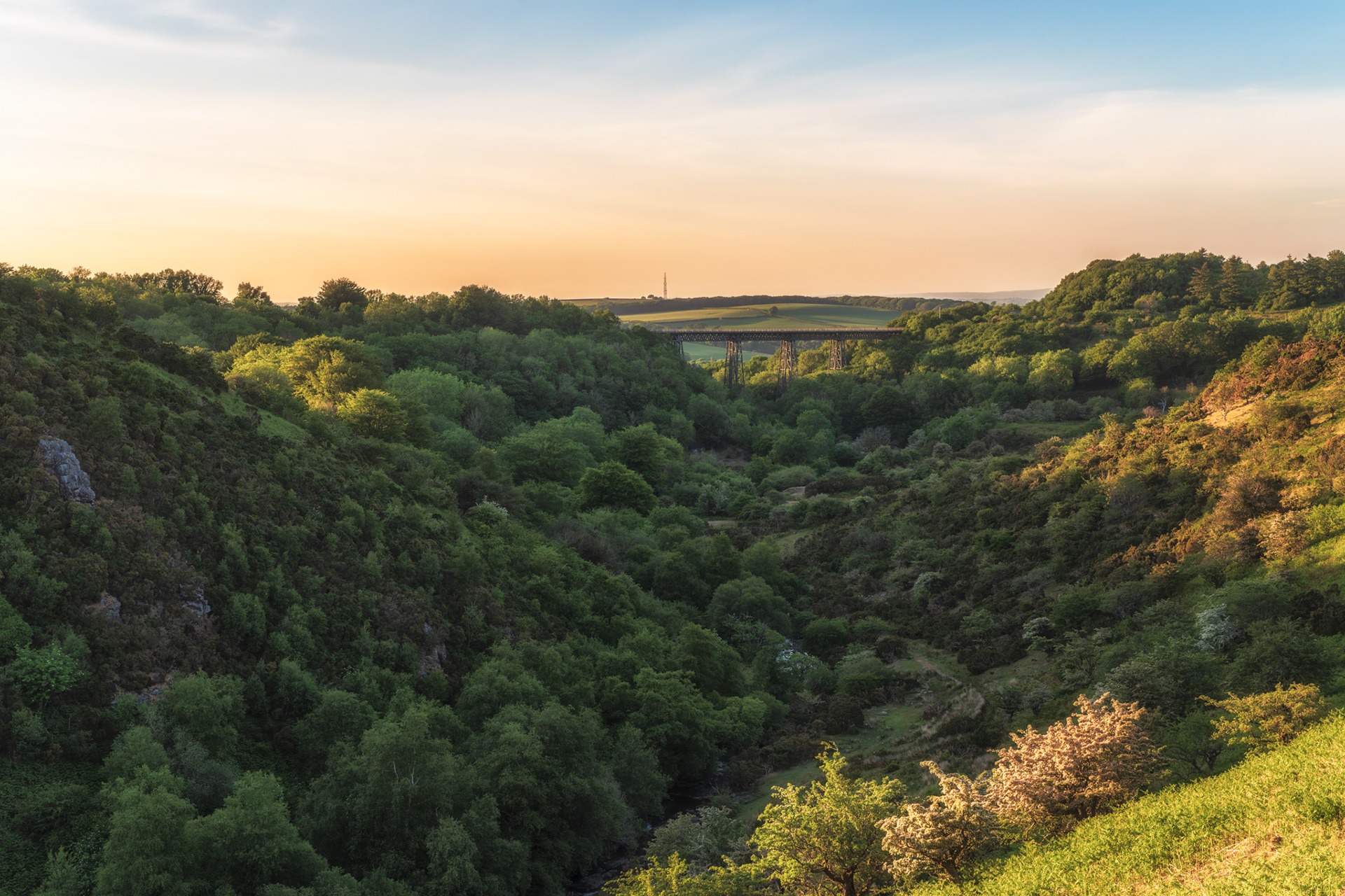 Meldon Viaduct. Okehampton, Dartmoor. 25.05.2020