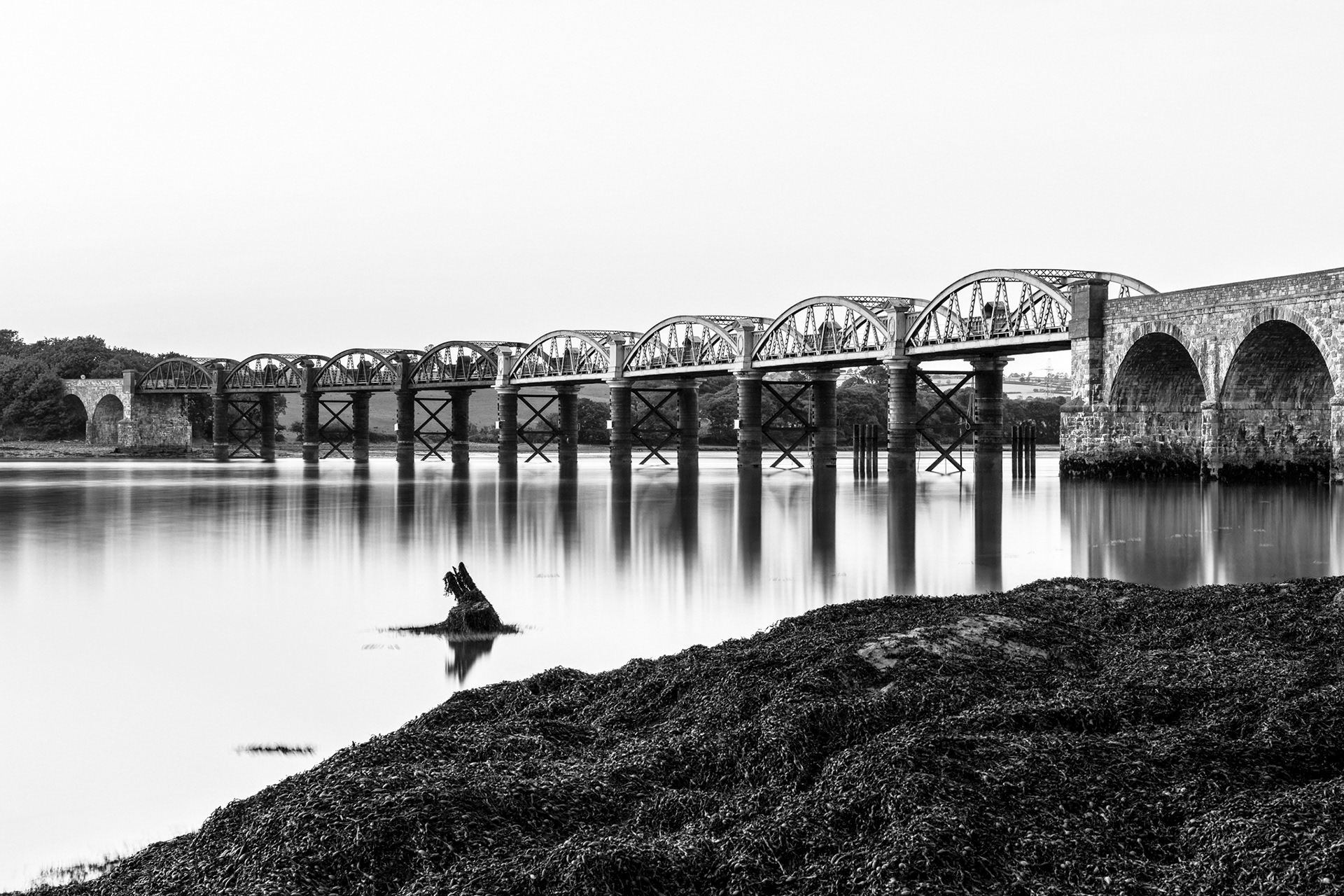 Tavy Railway Bridge. Warleigh Point, Plymouth. 30.05.2020