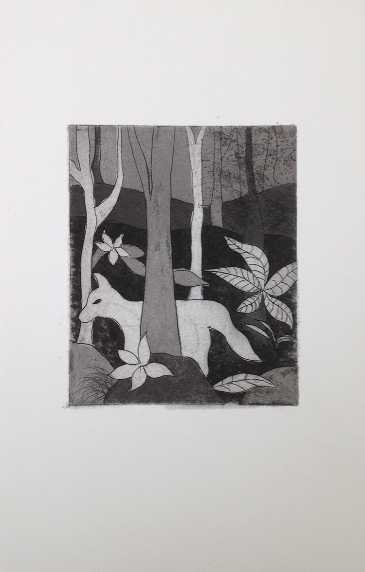 Pointe sèche et eau forte - 26 x 16 cm