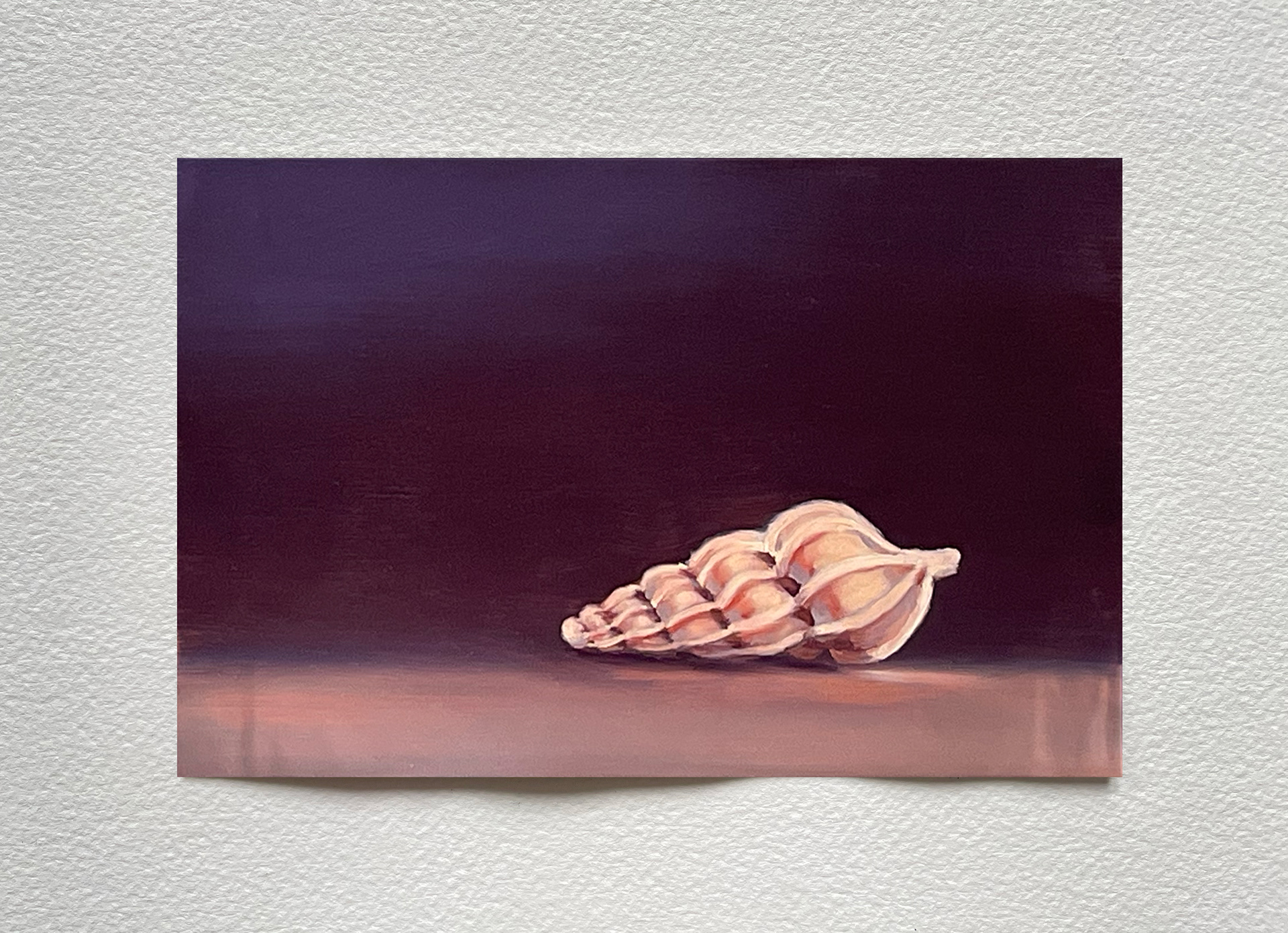 "Coquillage II", huile sur cuivre, 15 x 20 cm