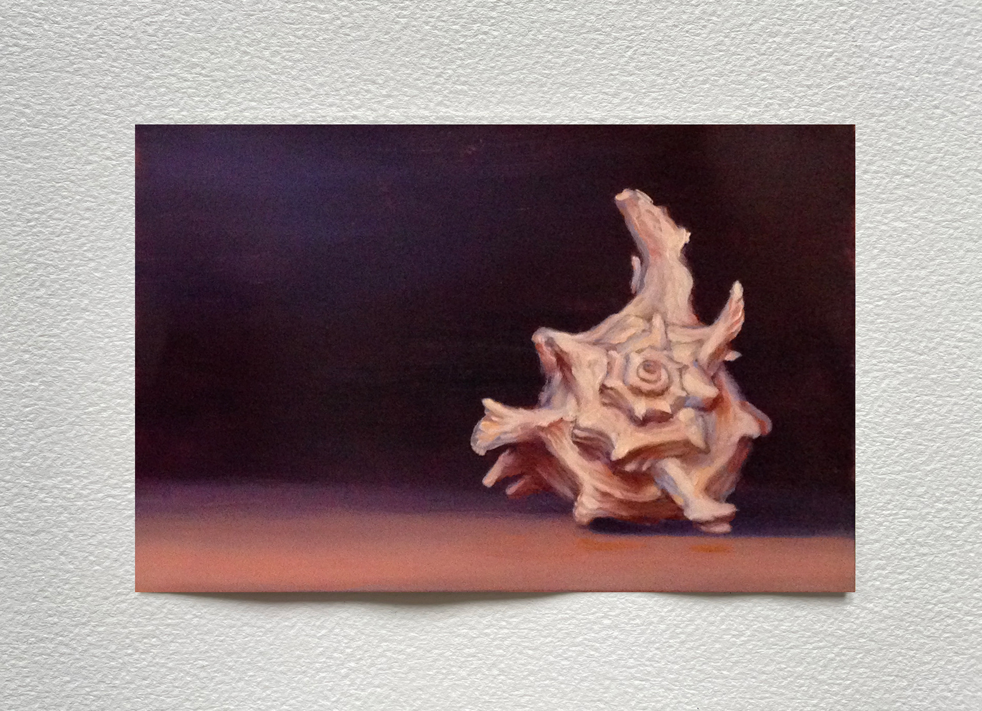 "Coquillage IV", huile sur cuivre, 15 x 20 cm