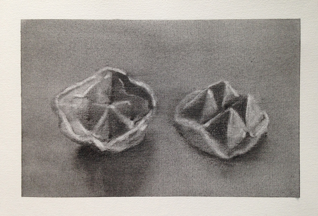 Nostalgie au premier degré - fusain sur papier - 14 x 21 cm