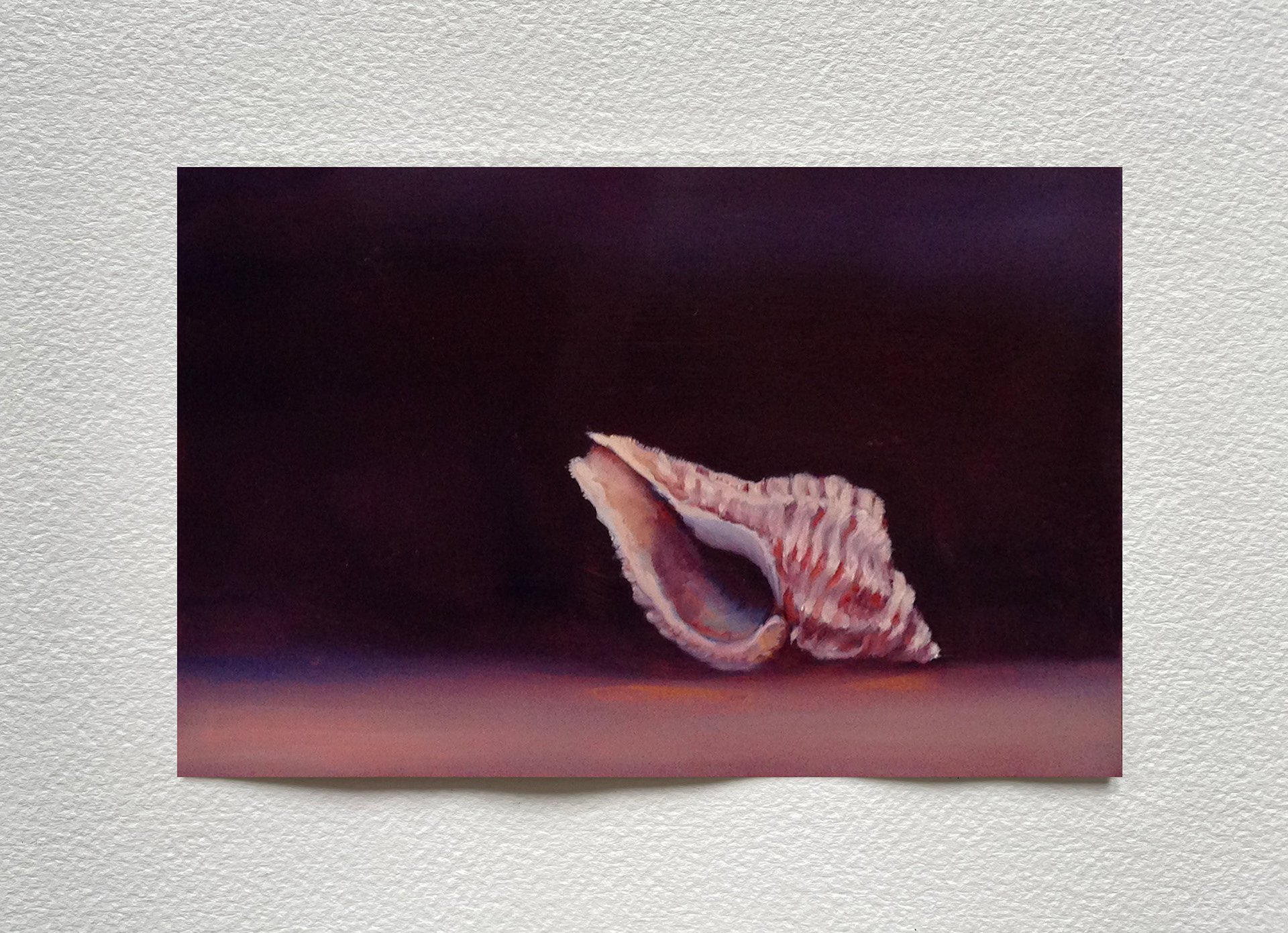 "Coquillage I", huile sur cuivre, 15 x 20 cm
