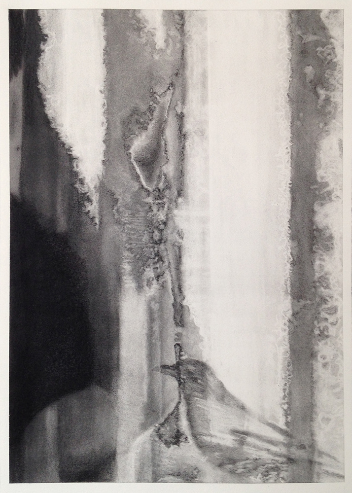 Nostalgie au premier degré - fusain sur papier - 52 x 38 cm