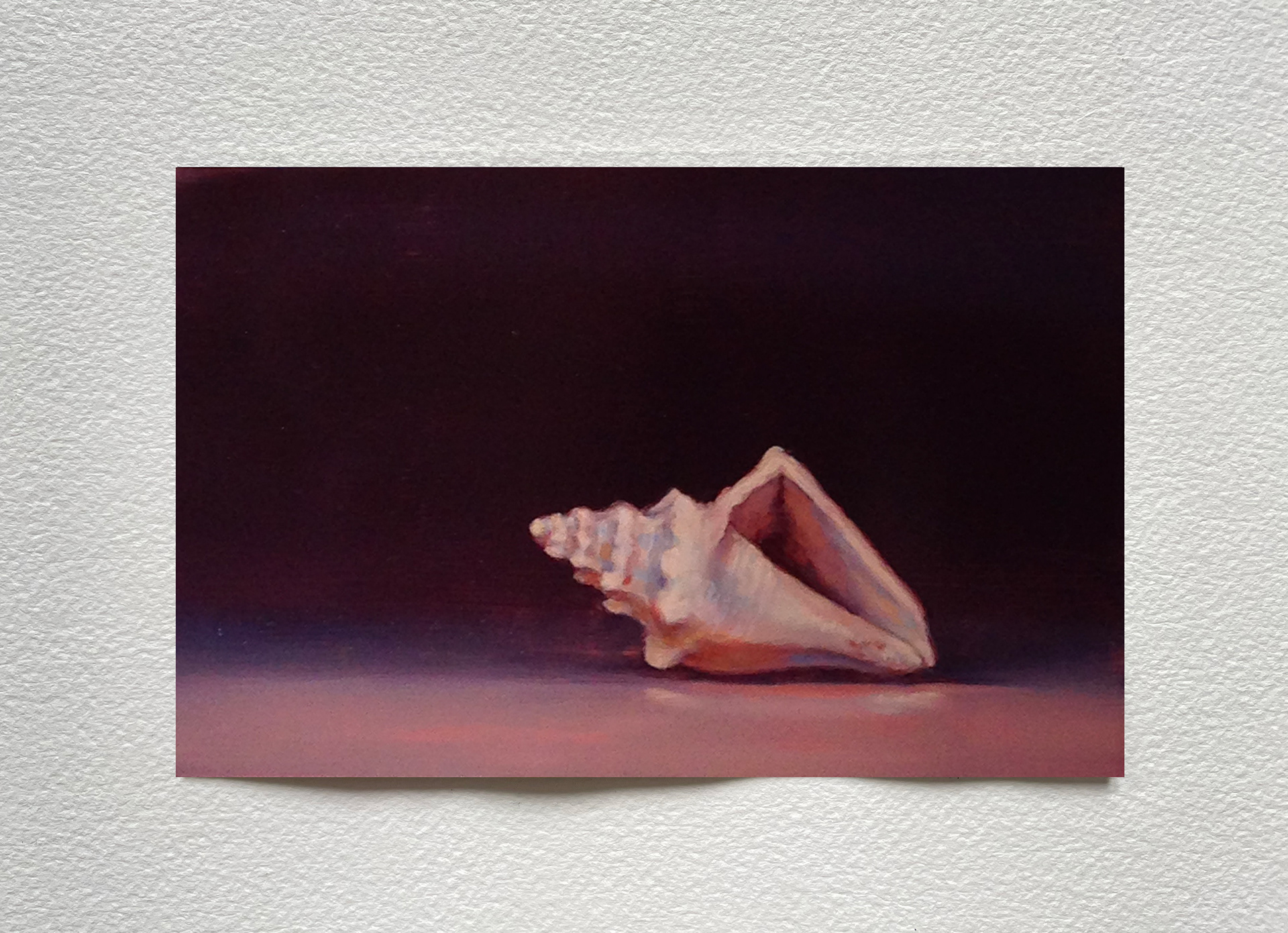 "Coquillage III", huile sur cuivre, 15 x 20 cm