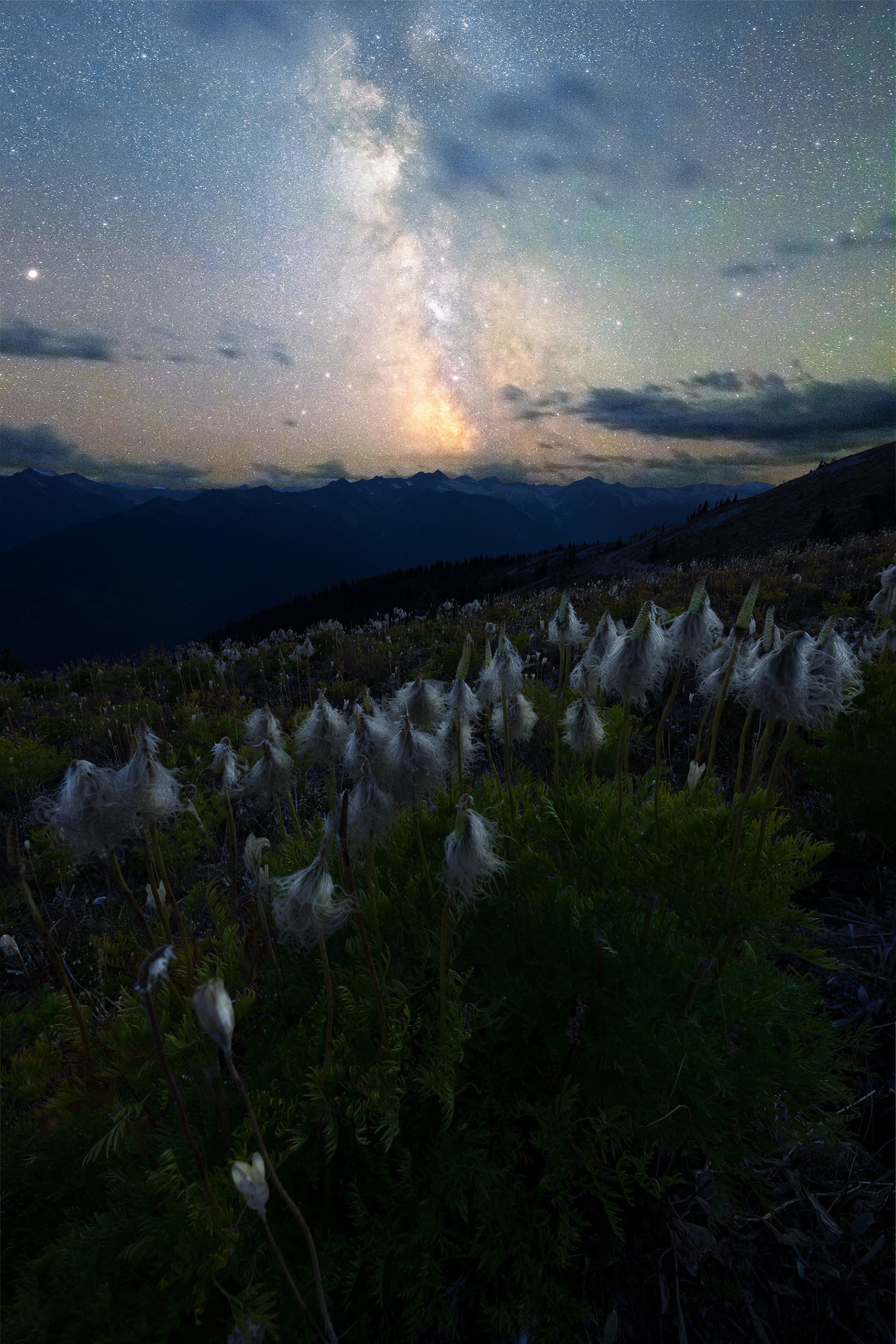 Celestial Garden