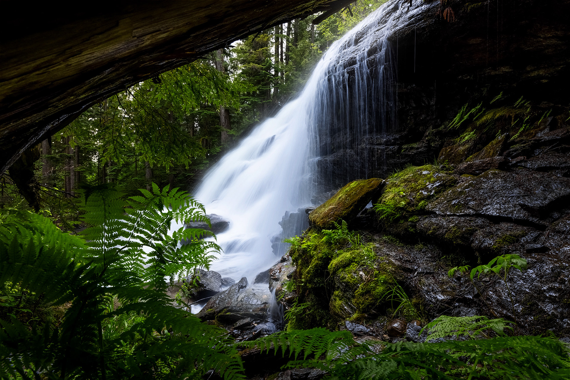 Living Waters III
