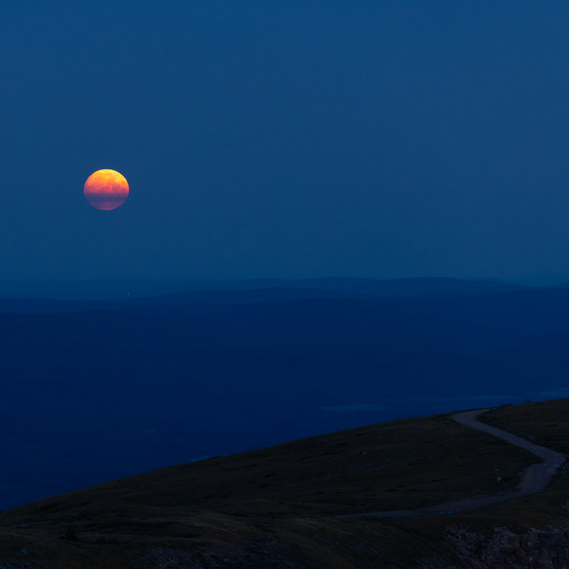 Moonlit Ride