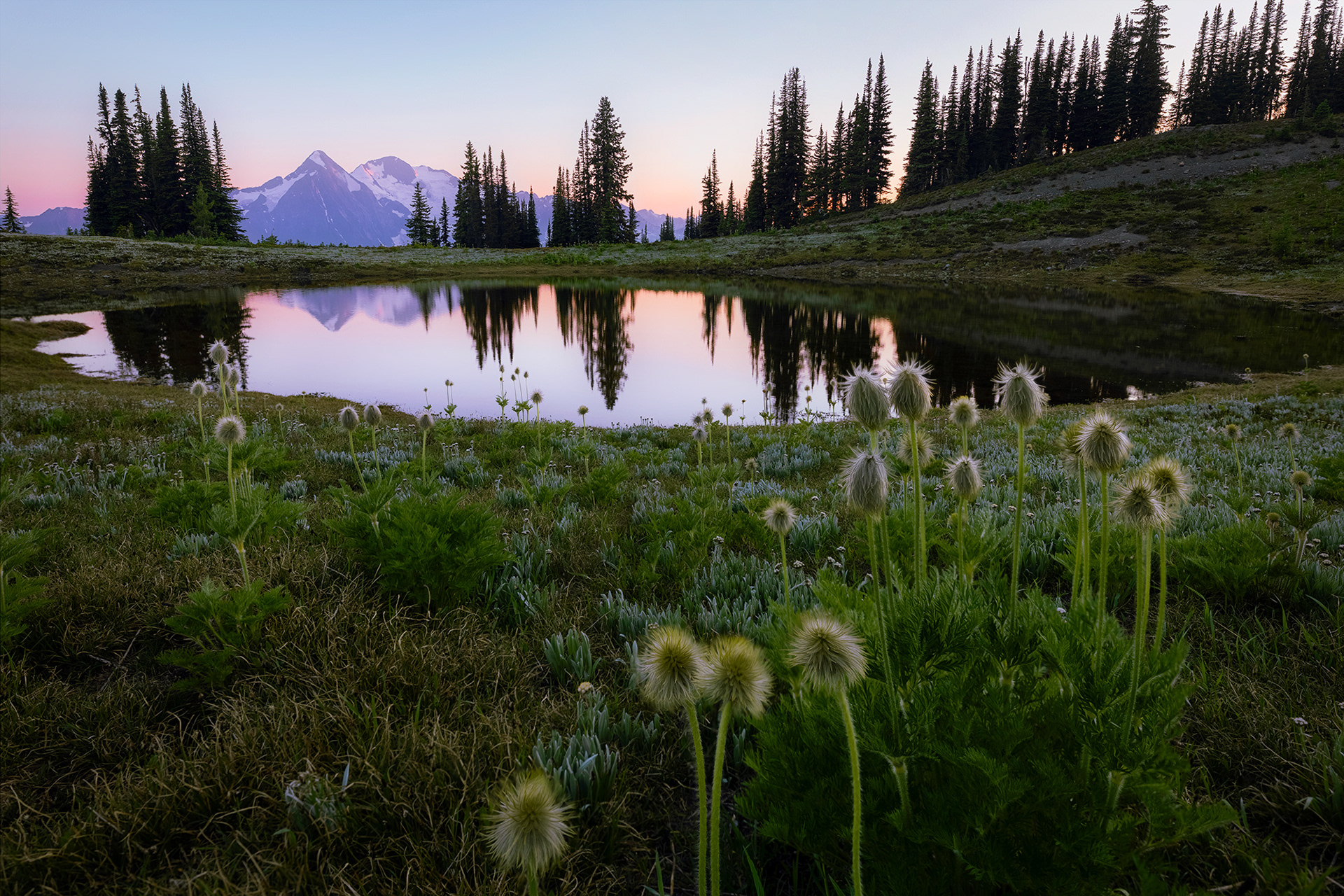 Alpine Serenity