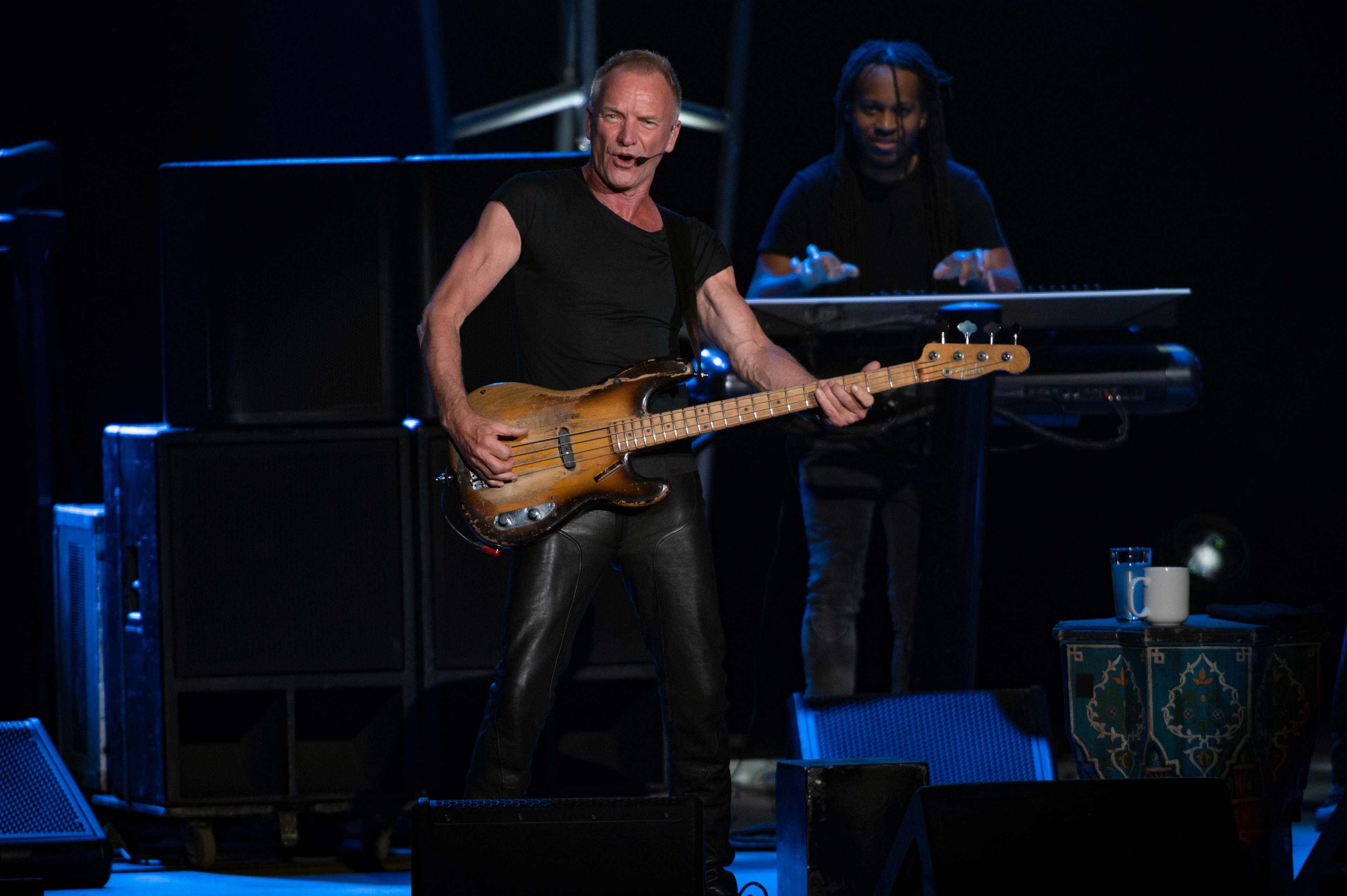Sting Ascend Amp 2022