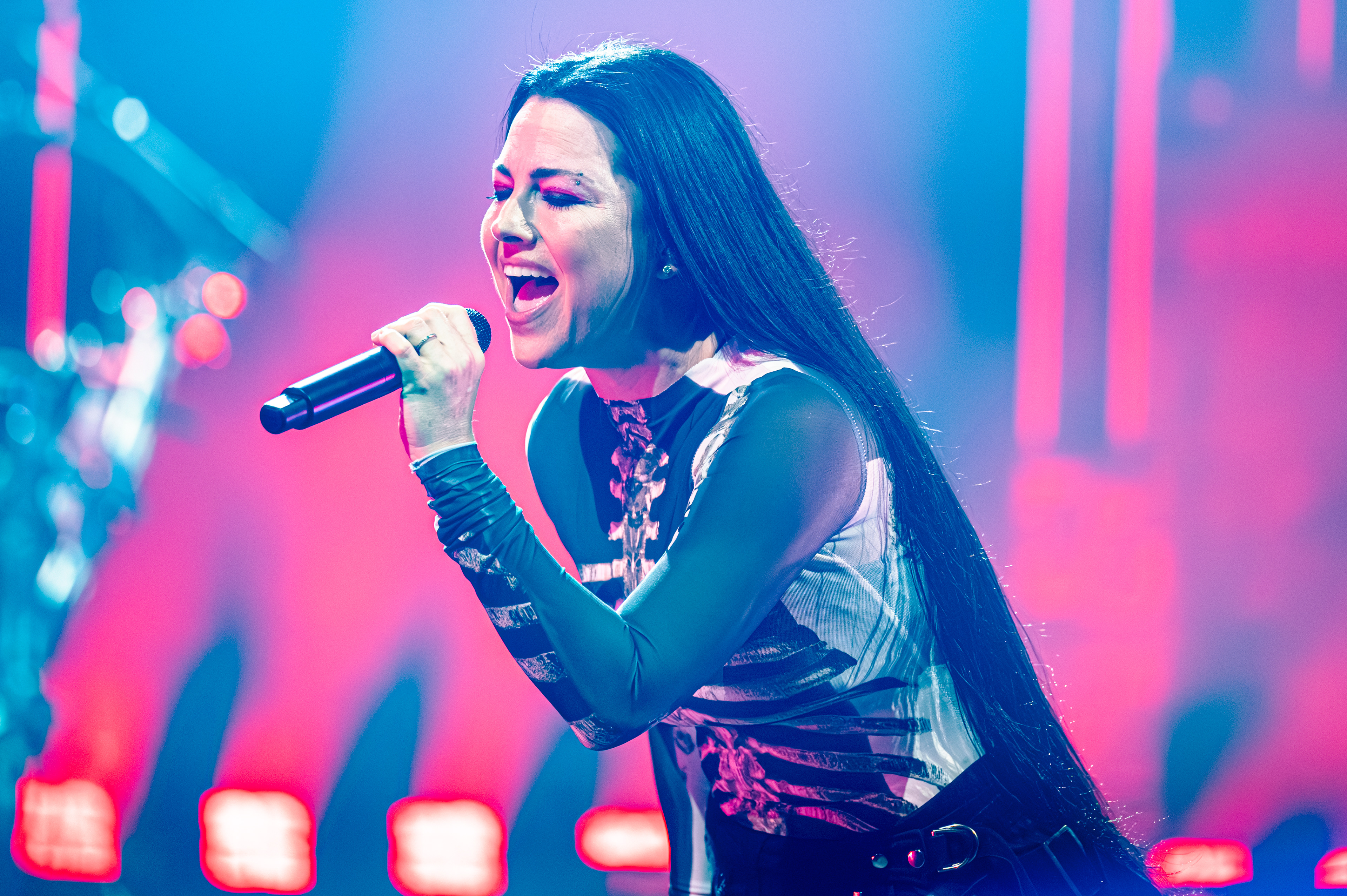 Evanescence 2026