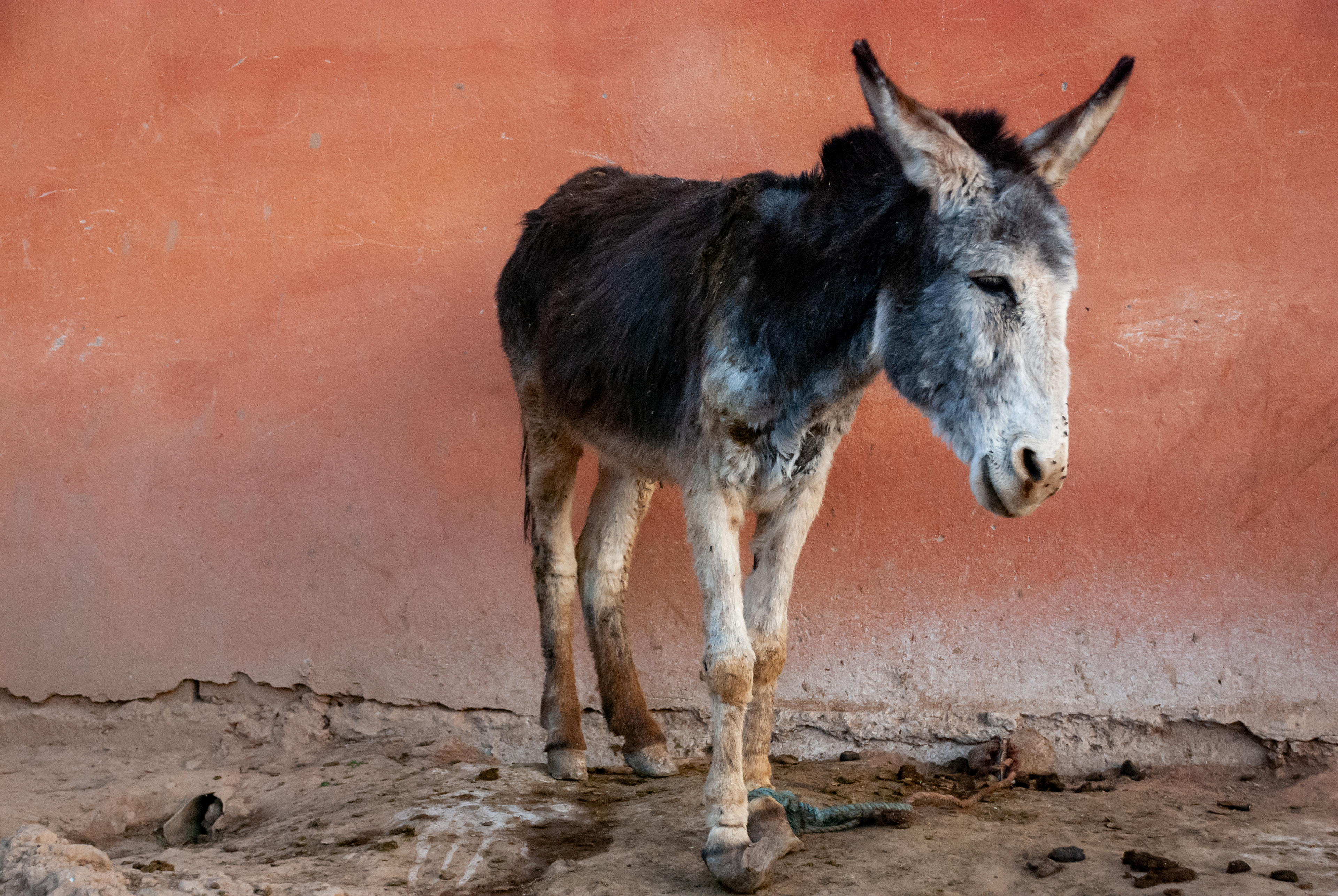 Aoulouz, Morocco, 2008.