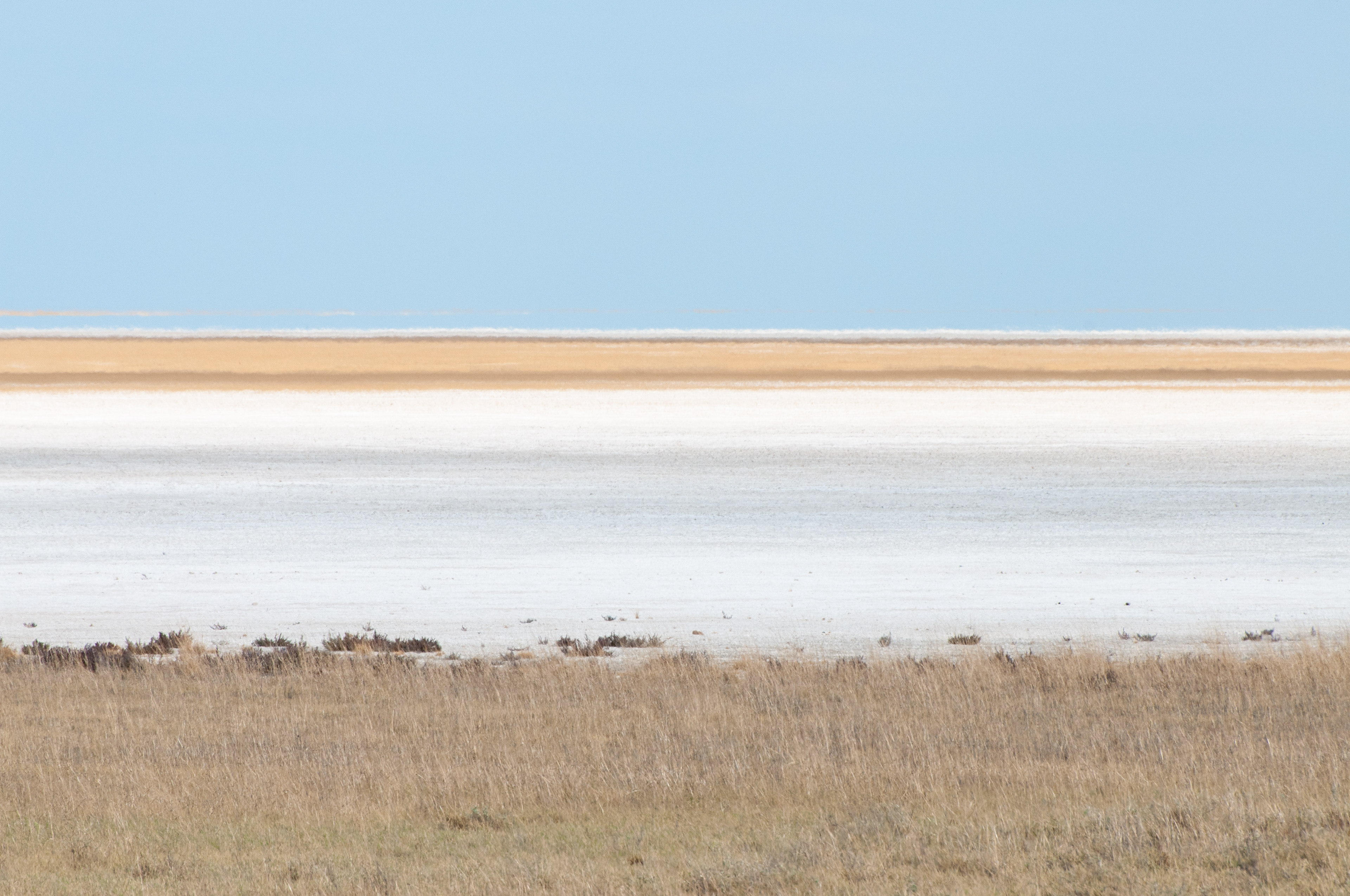 Etosha, Namibia, 2011.