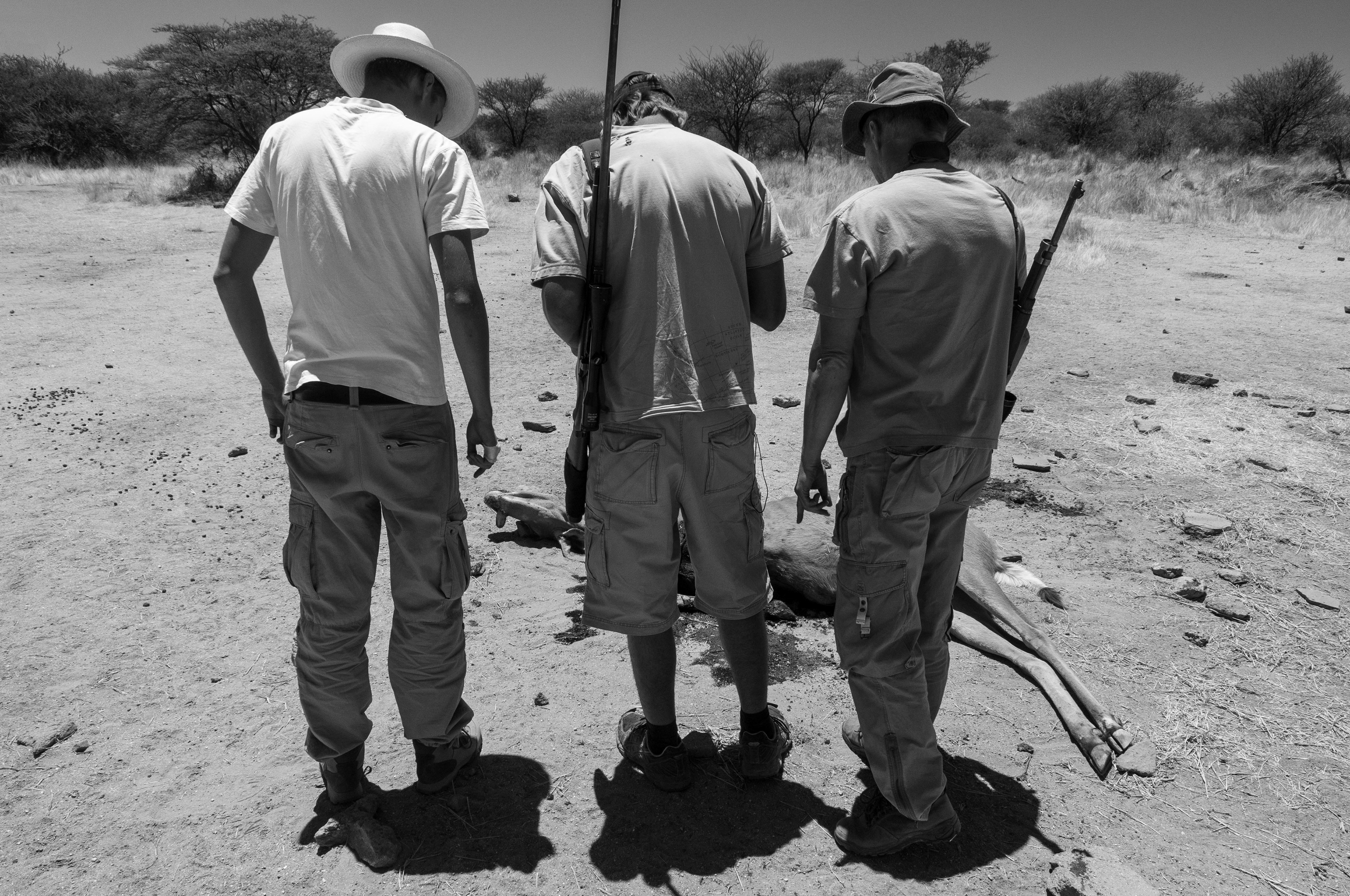 Erongo, Namibia, 2011.