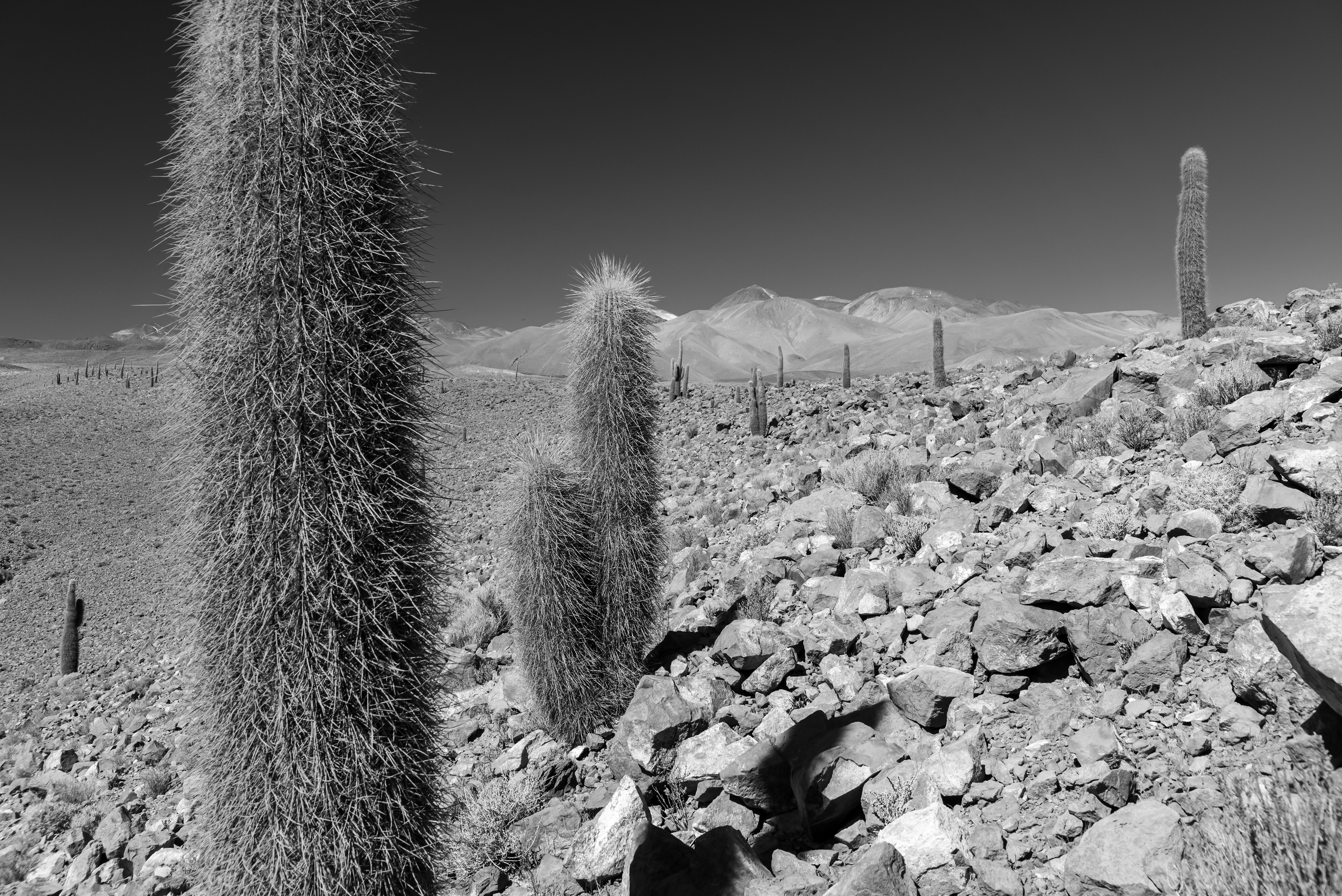 San Pedro de Atacama, Chile, 2023.