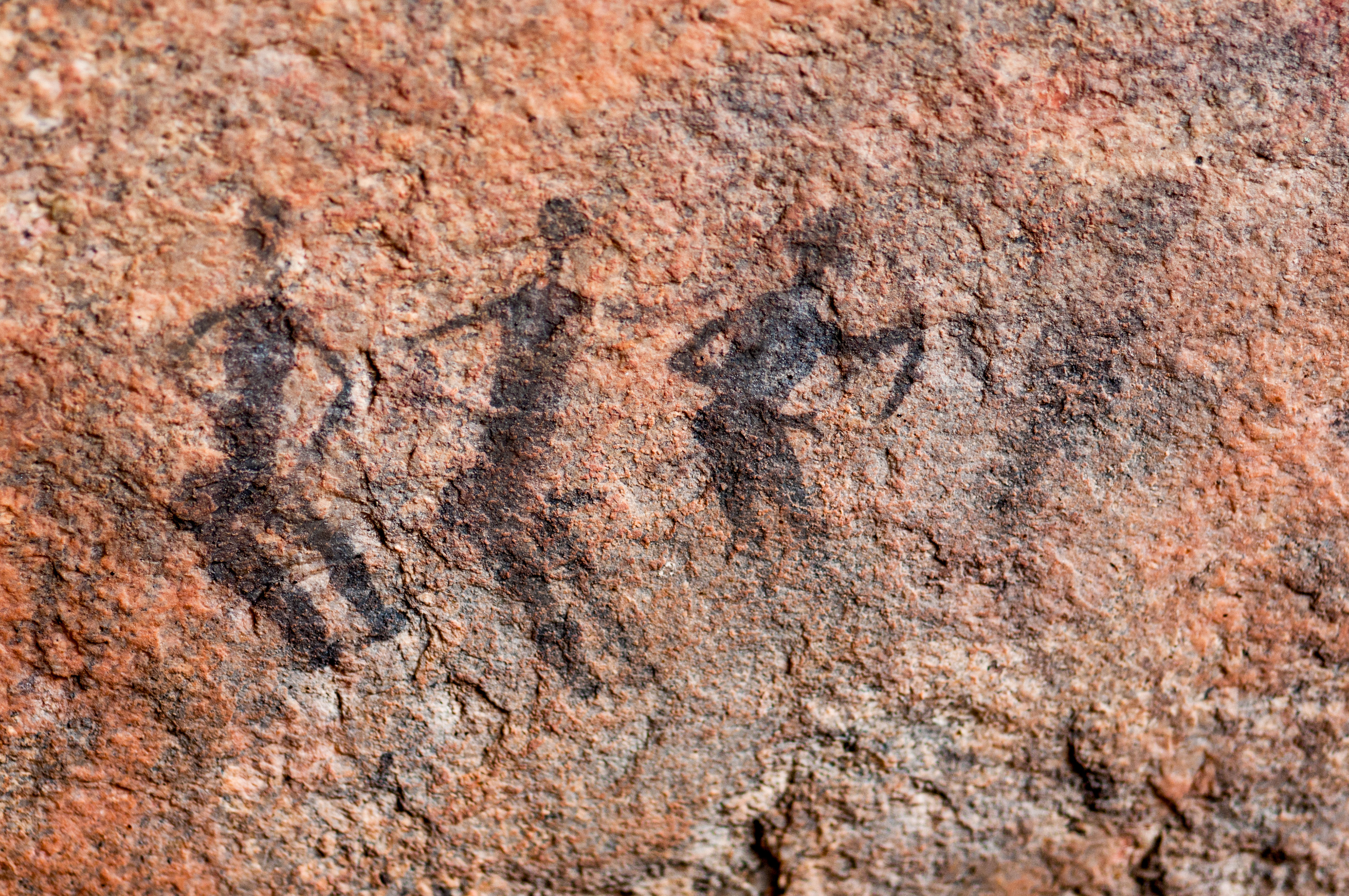 Erongo, Namibia, 2011.