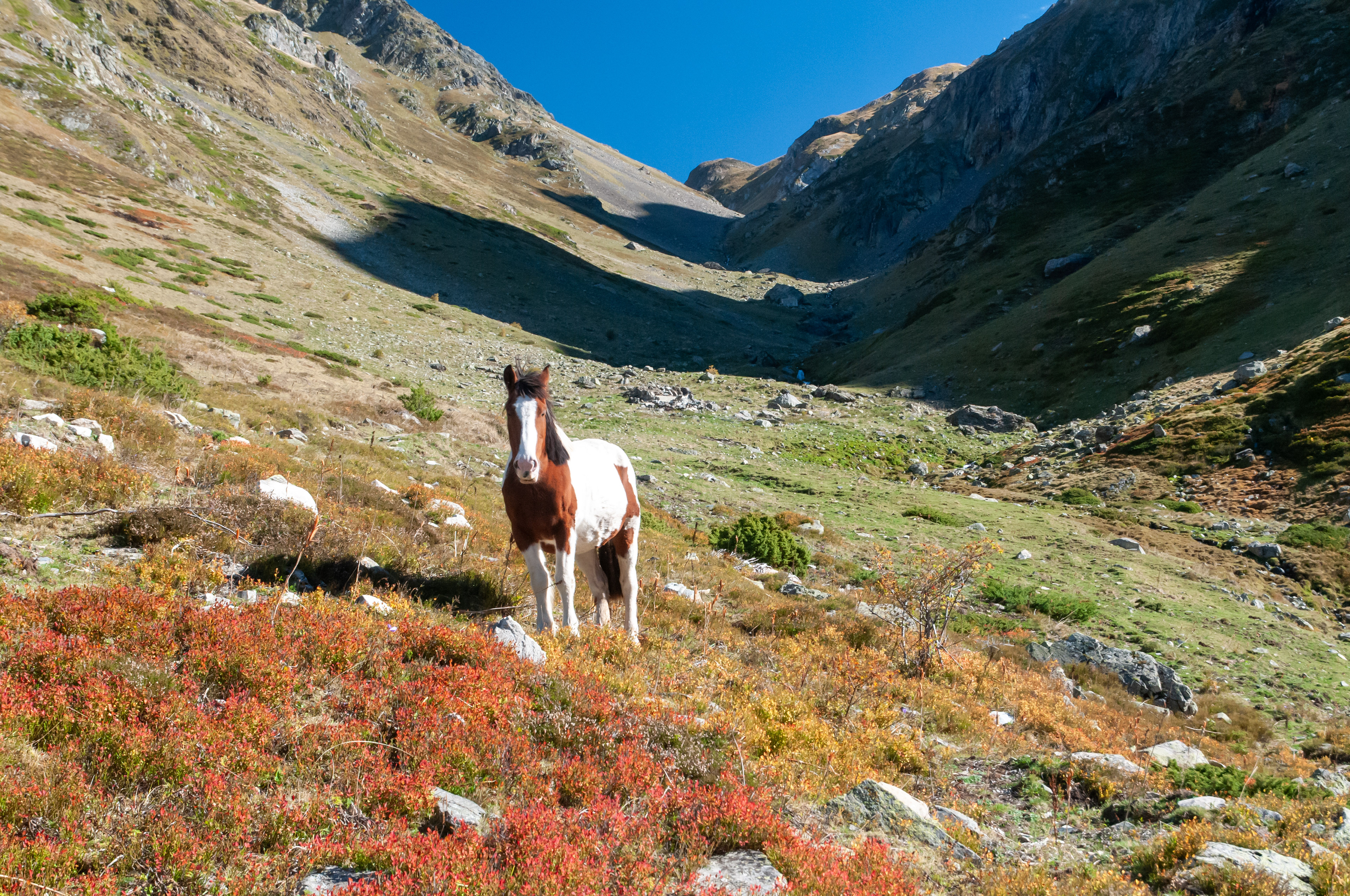 Vallée d'Arrious, France, 2013.