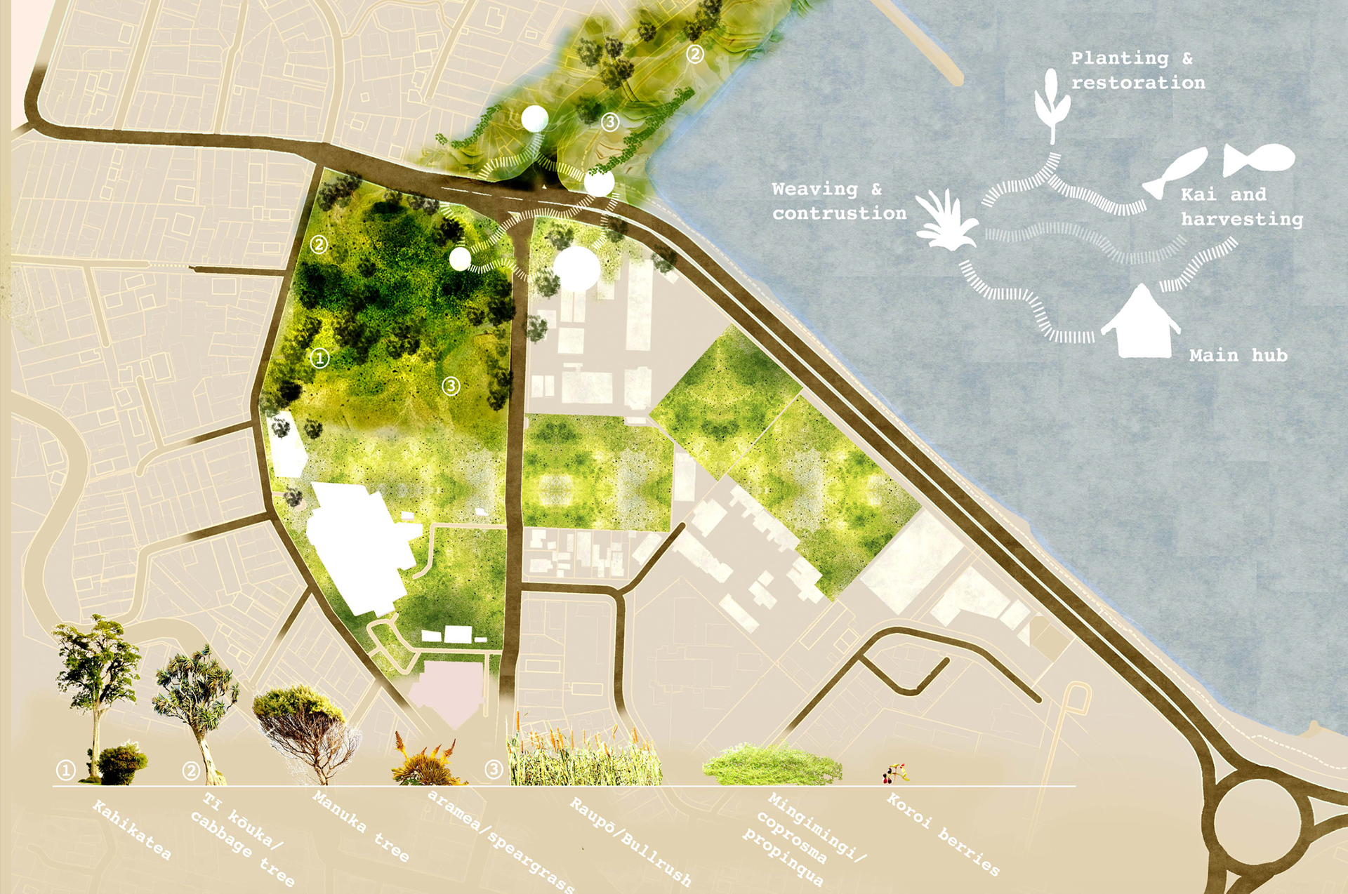 Master plan Of Kura Kūkūwai, Evans Bay, Kilbirnie