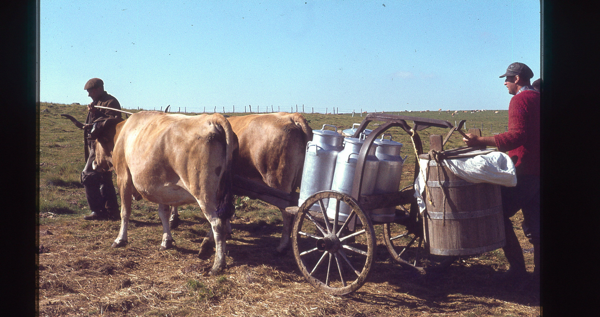 Transport de la gerle